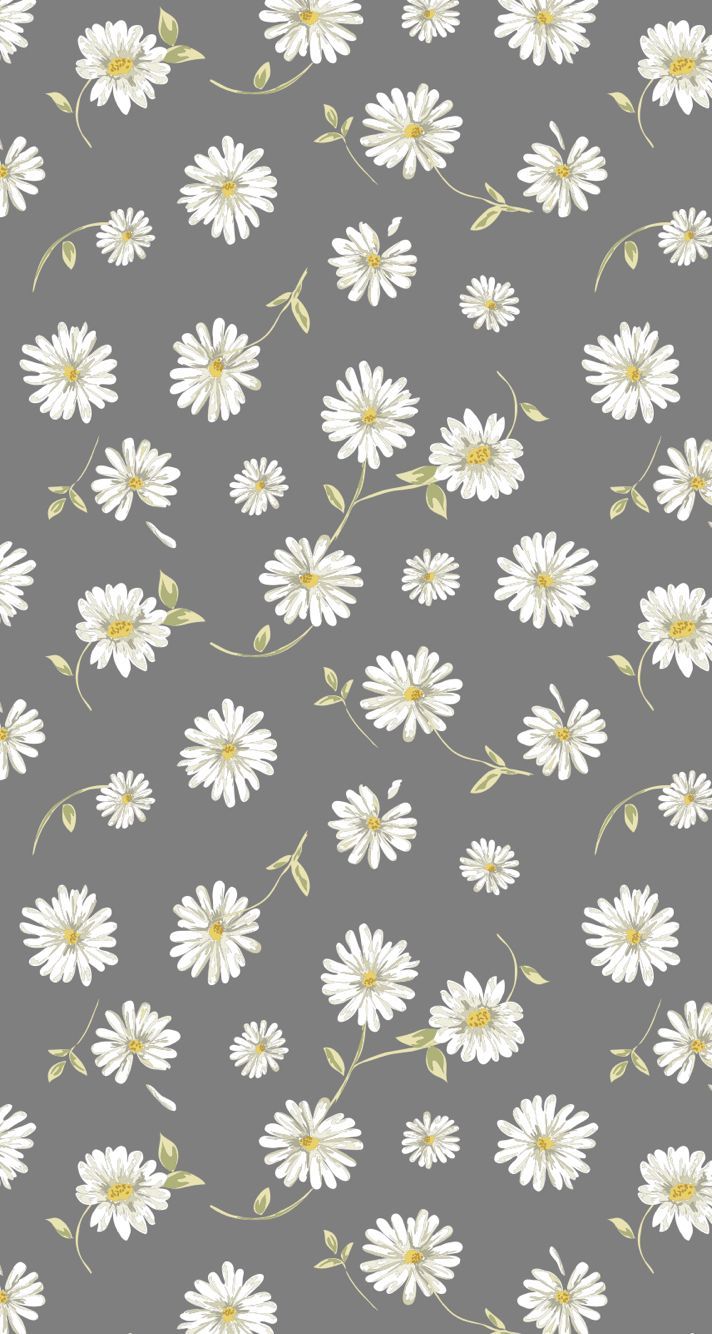 Margherite bianche sfondo grigio, 712x1334 Full HD Verticale, iPhone Plus