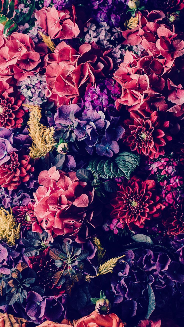 Fiori colorati fitti, 736x1308 Verticale, iPhone