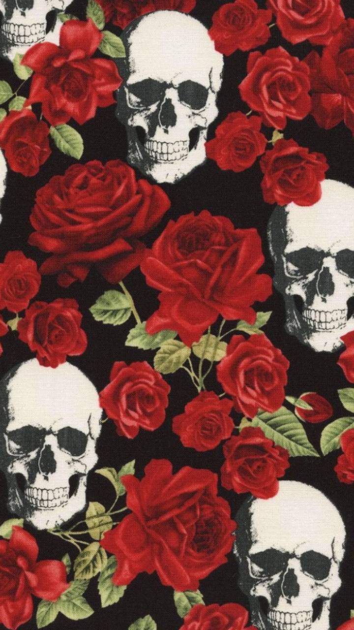 Teschi e rose rosse, 720x1280 Full HD Verticale, iPhone