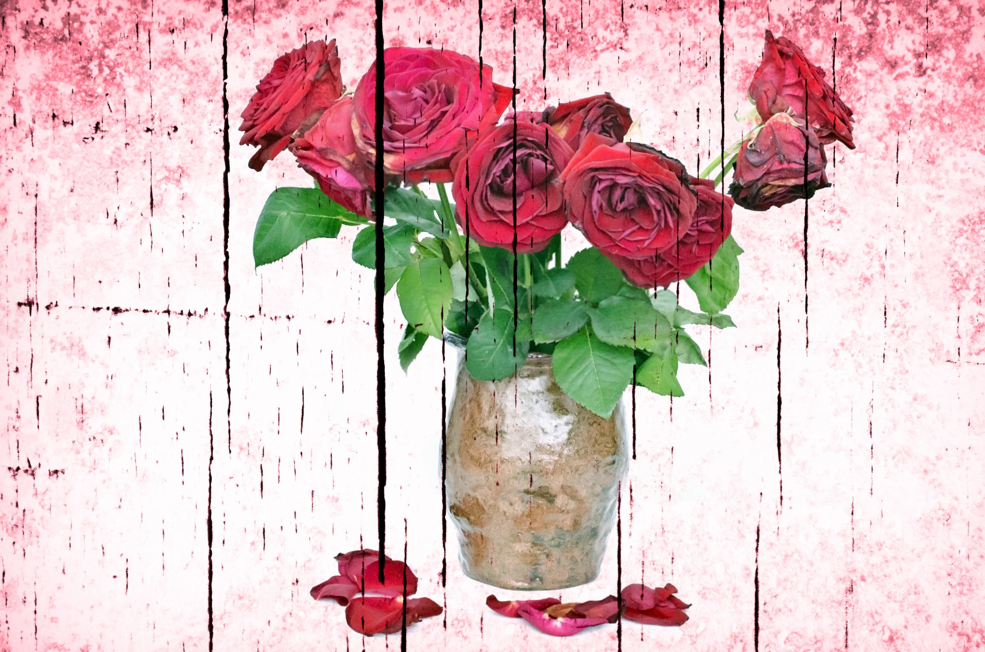 Rose appassite e mozzicone, 2716x3240 Full HD Verticale, Smartphone