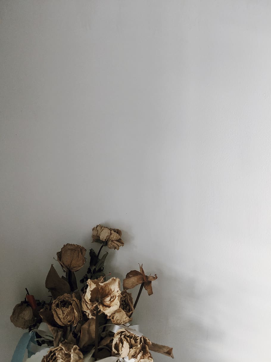 Bouquet rose secche appassite, 910x1213 Full HD Verticale, Smartphone