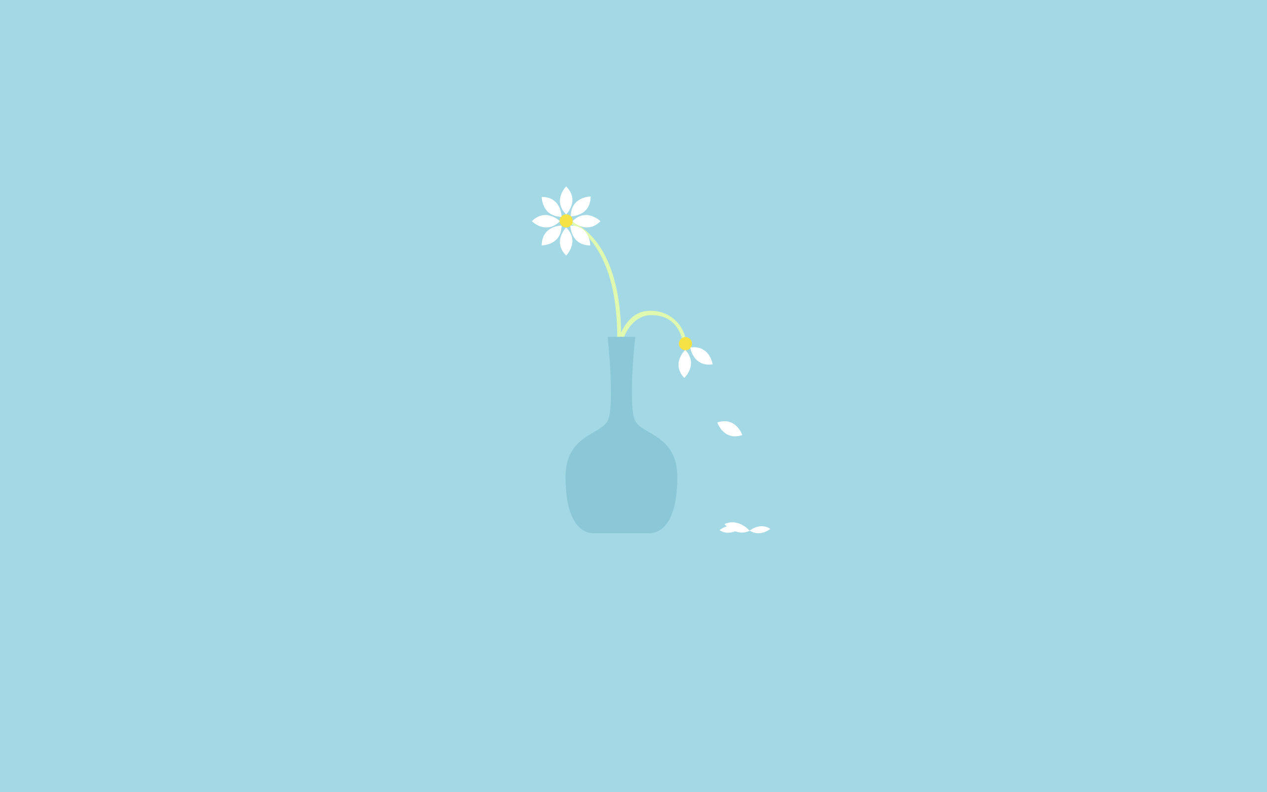 Vaso minimalista con fiore bianco, 2560x1600 2K+, Monitor Gaming
