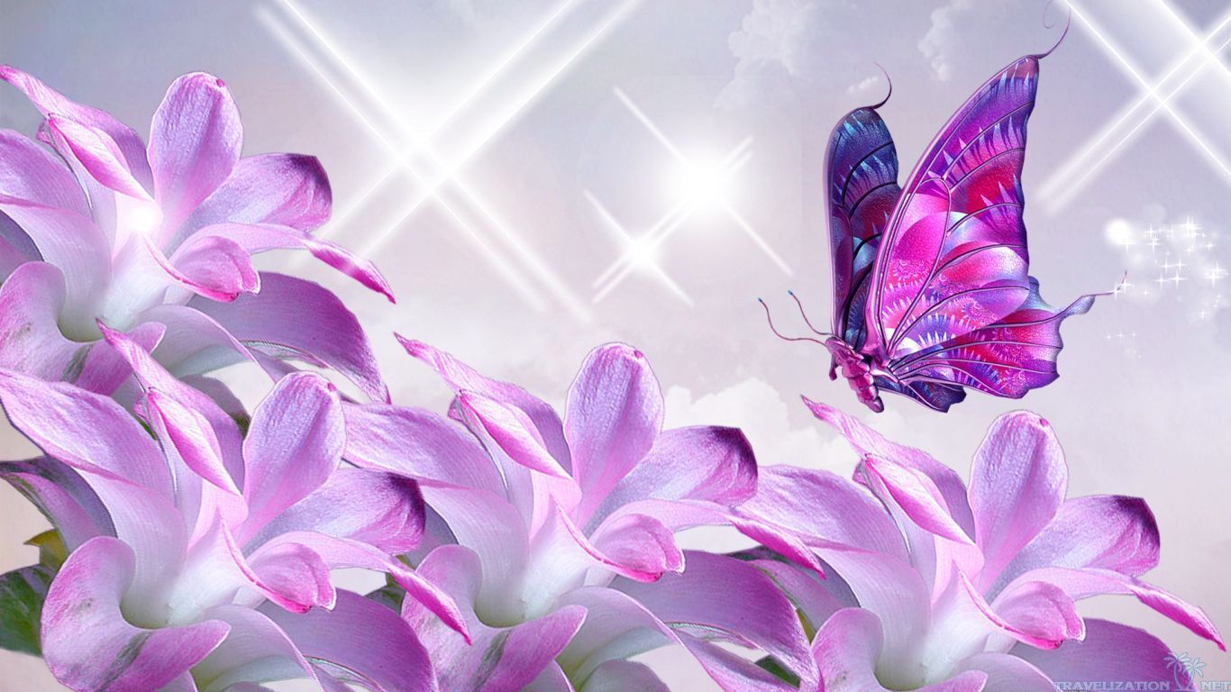 Fiori viola con farfalla, 1366x768 720p, Laptop