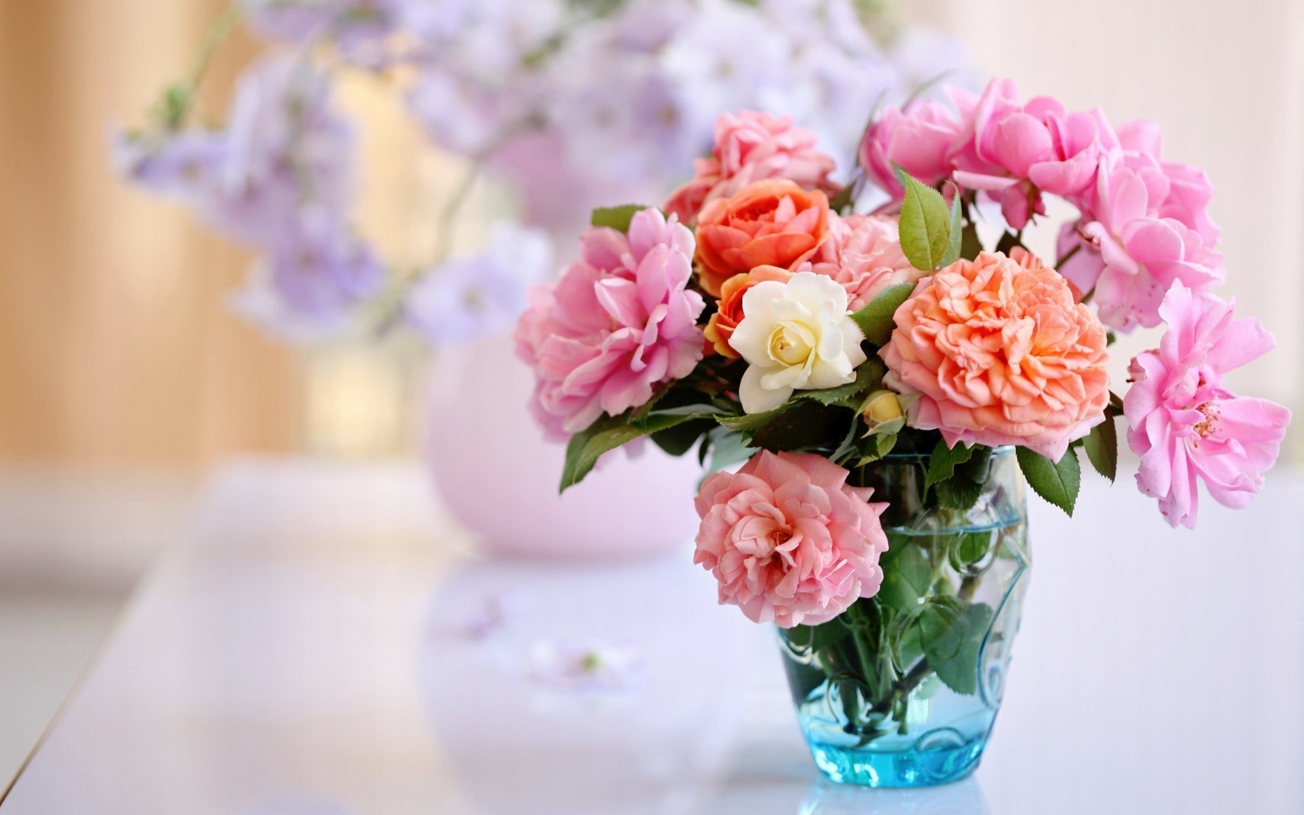 Vaso di fiori rosa e bianchi, 2560x1600 2K, MacBook Pro