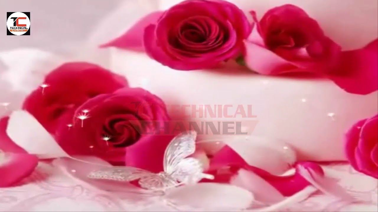 Rose rosa con farfalla decorativa, 1280x720 720p, PC