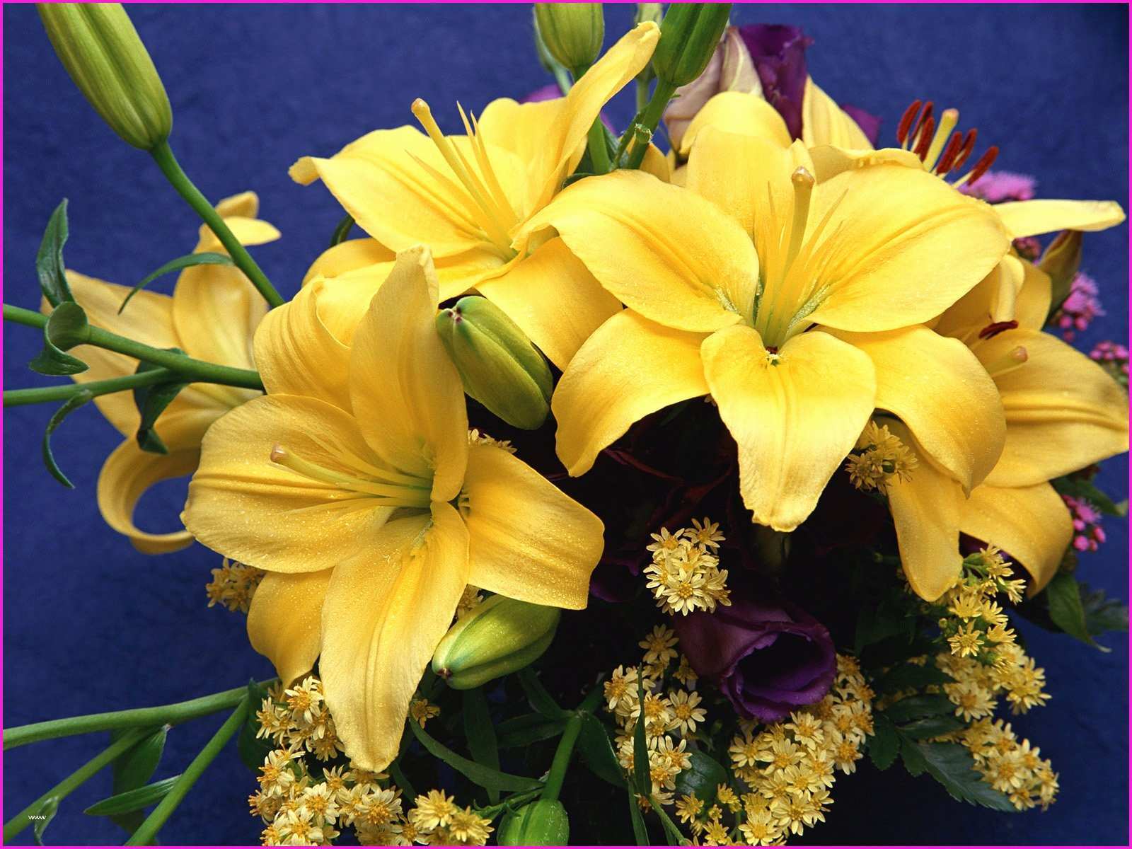 Bouquet di gigli gialli, 1600x1200 HD Ready, Notebook Gaming