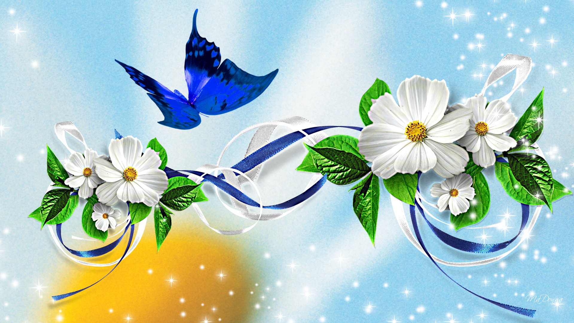 Fiori bianchi con farfalla blu, 1920x1080 Full HD, Laptop