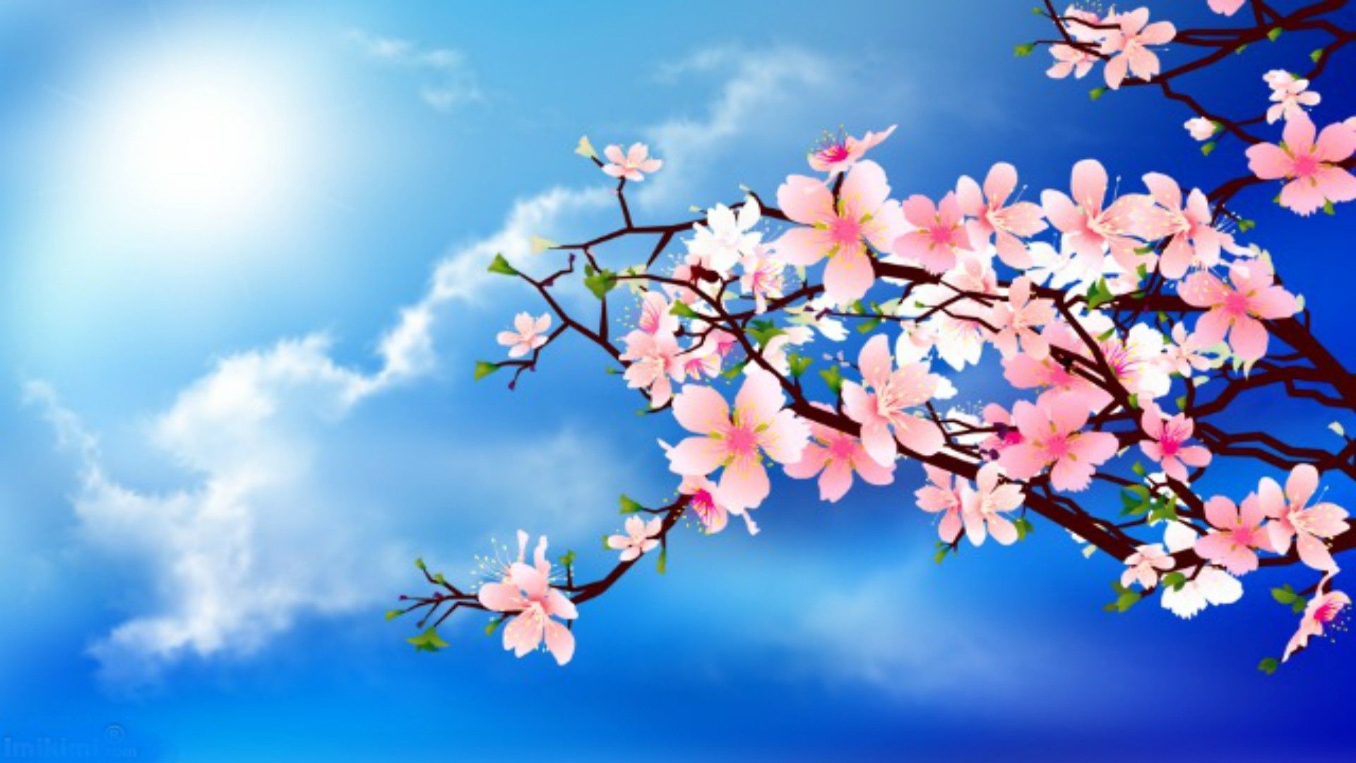 Fiori di ciliegio su cielo blu, 1920x1080 Full HD 1080p, Desktop