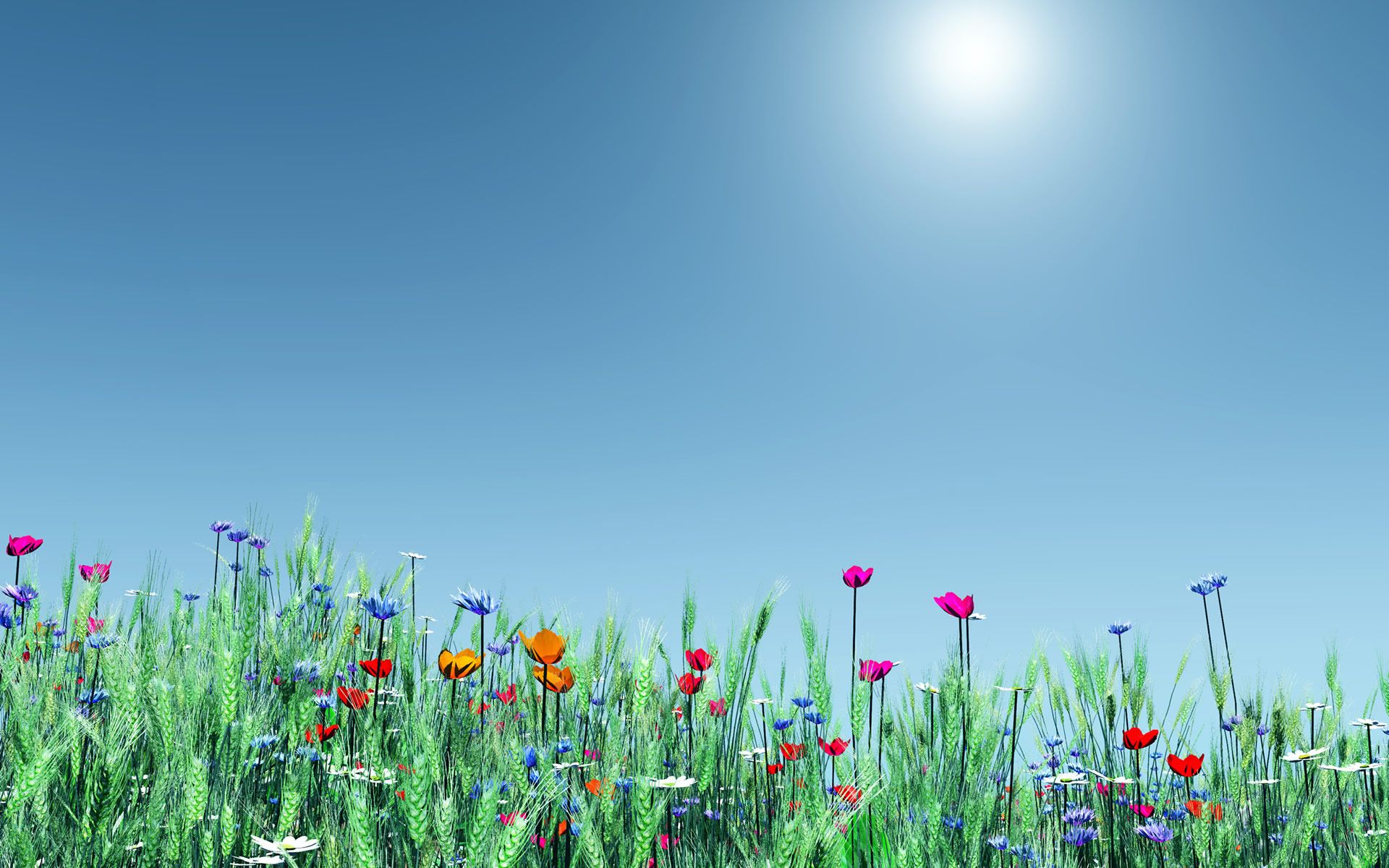 Fiori colorati prato primaverile, 1920x1200 Full HD+, Laptop