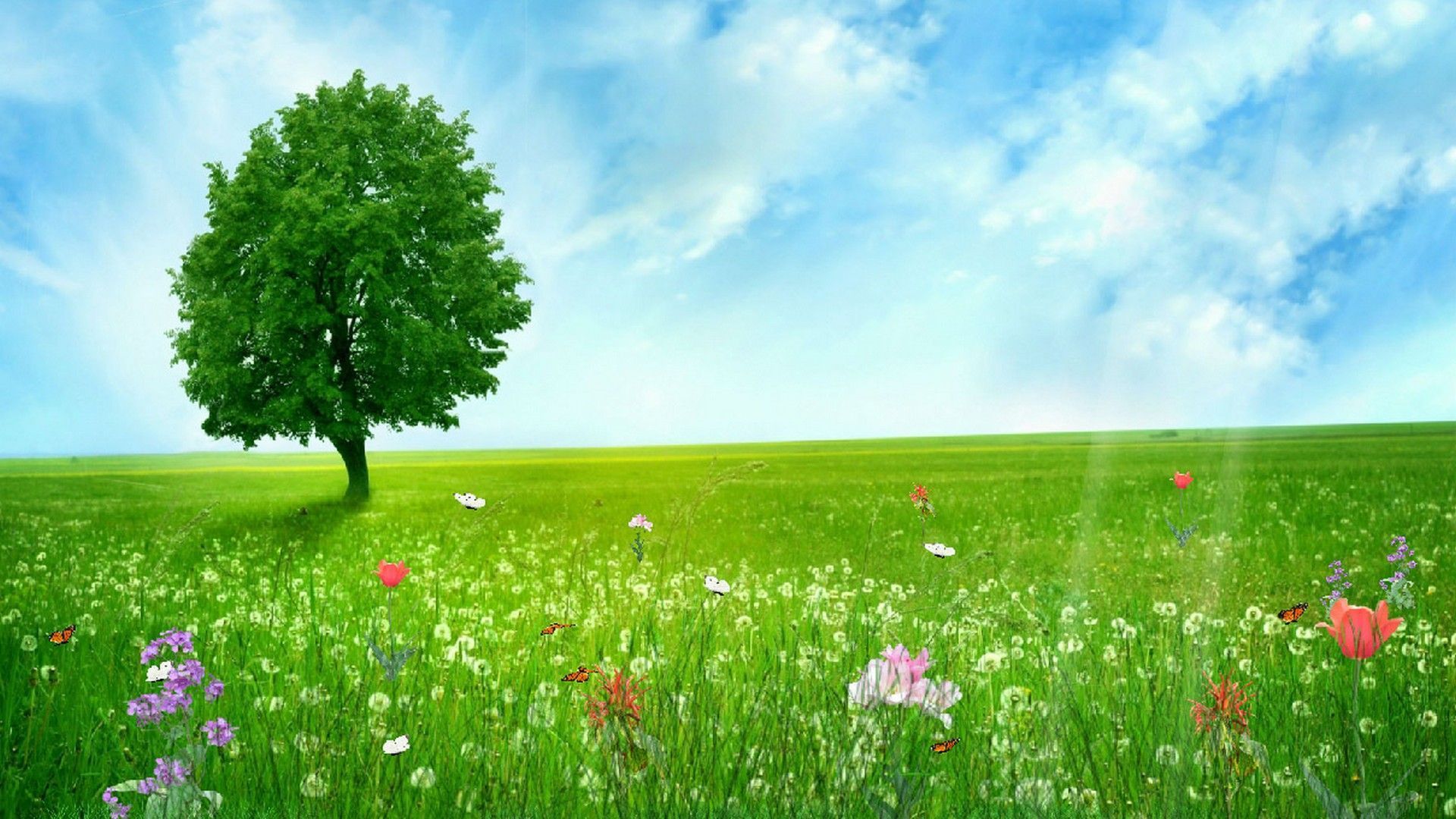 Prato verde con albero e fiori, 1920x1080 1080p, PC Desktop