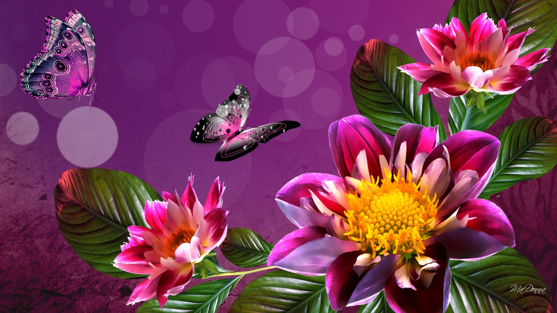Fiori rosa e farfalle, 1920x1080 1080p, Desktop