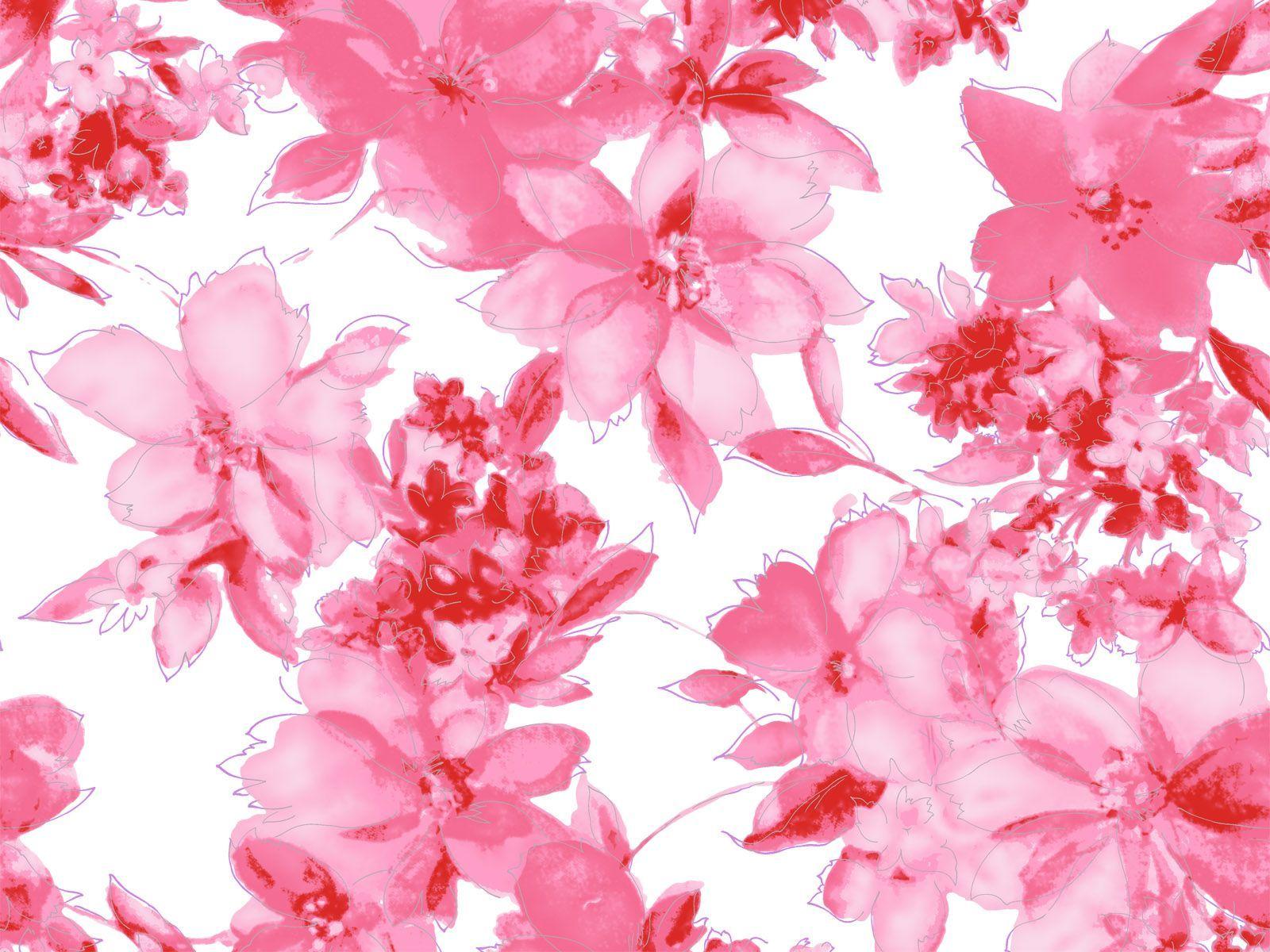 Fiori rosa acquerello, 1600x1200 900p, Desktop