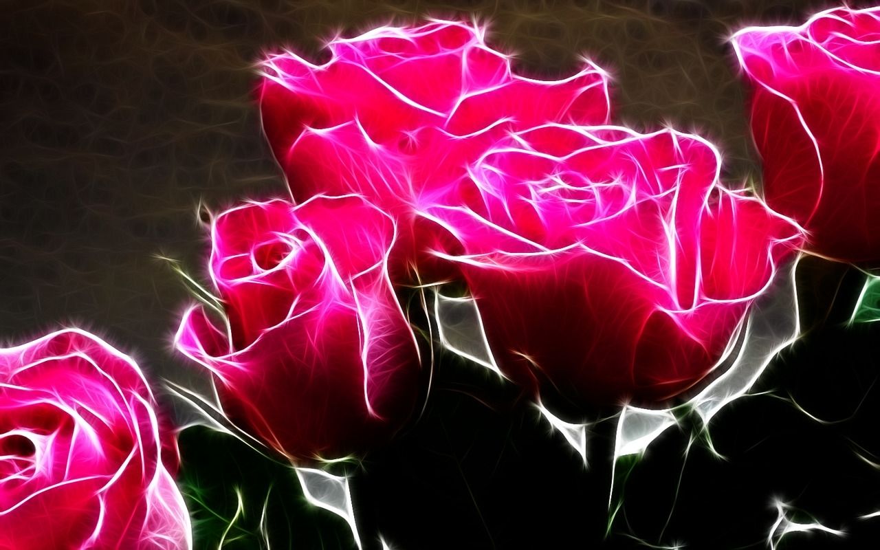 Rose rosa acceso stilizzate, 1280x800 720p, Laptop