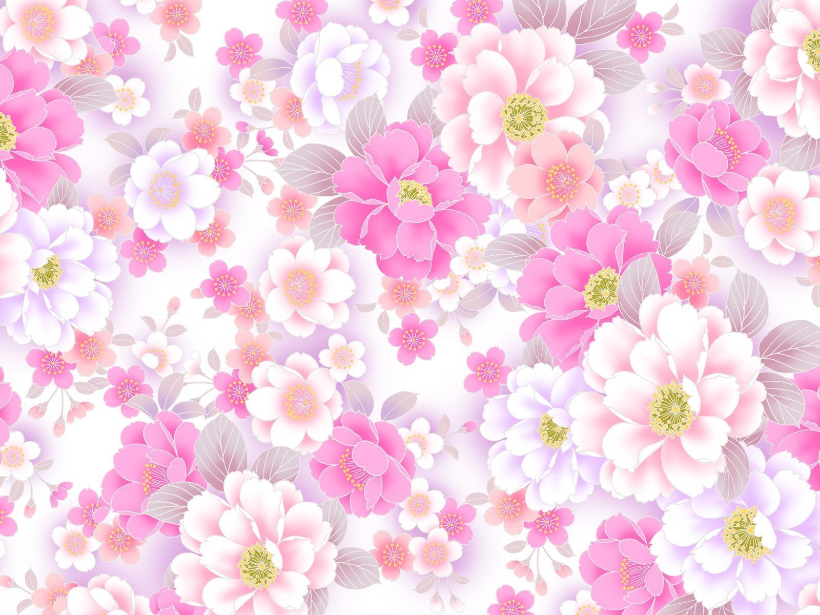 Fiori rosa e bianchi, 1600x1200 900p, Desktop