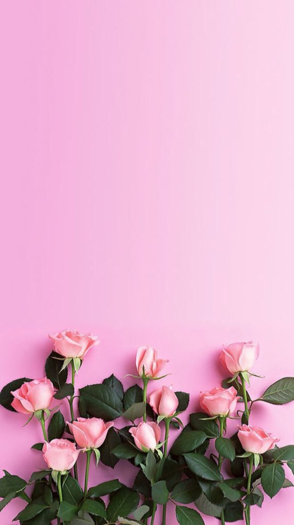 Cielo rosa con nuvole, 1153x1920 Full HD Verticale, iPhone Pro