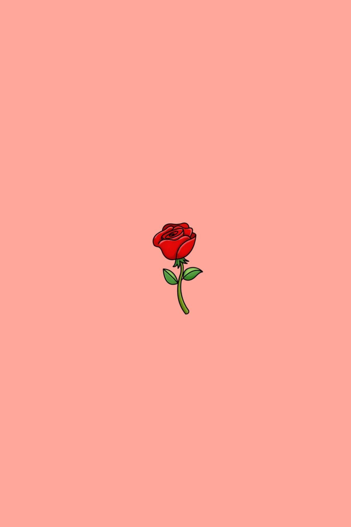 Bouquet di rose rosse, 1920x1052 1080p, PC Desktop