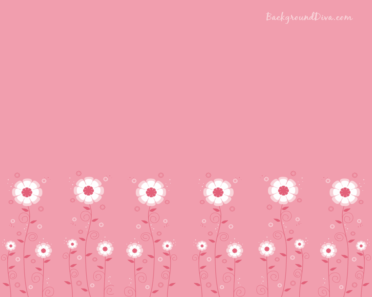 Fiori bianchi su sfondo rosa, 1280x1024 HD, Desktop