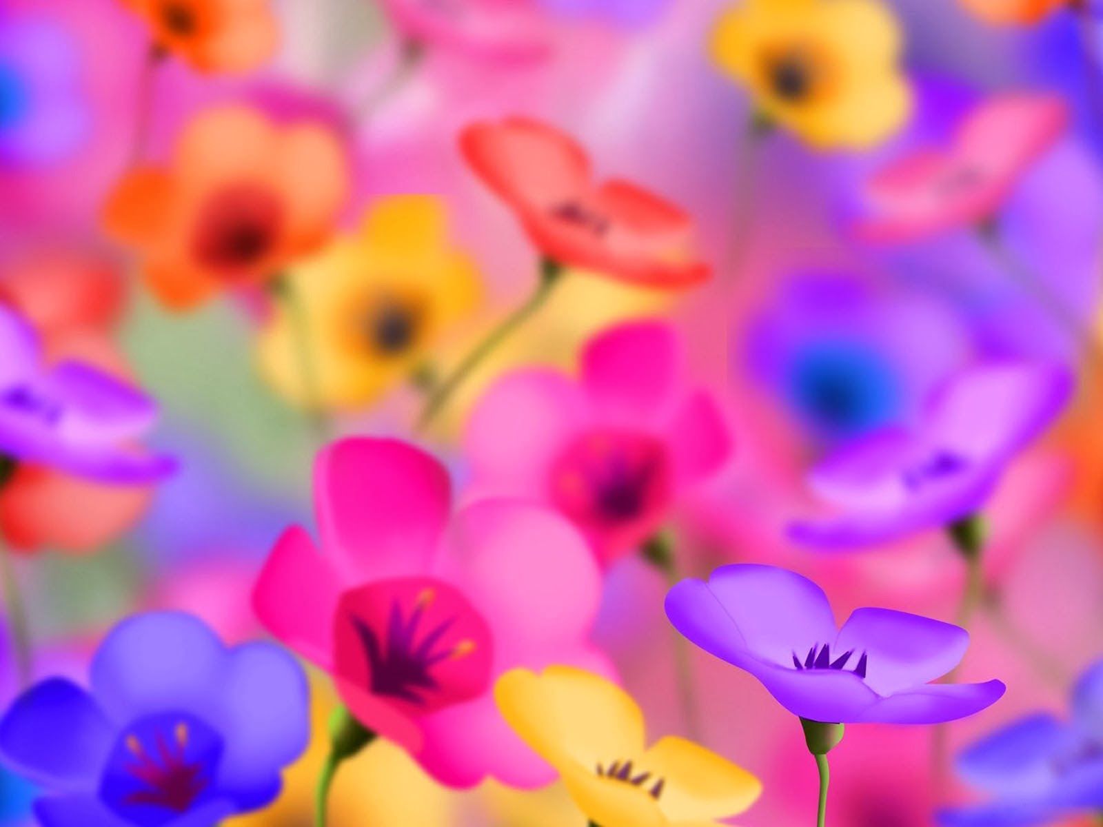 Fiori colorati sfocati, 1600x1200 HD Ready, Monitor Gaming