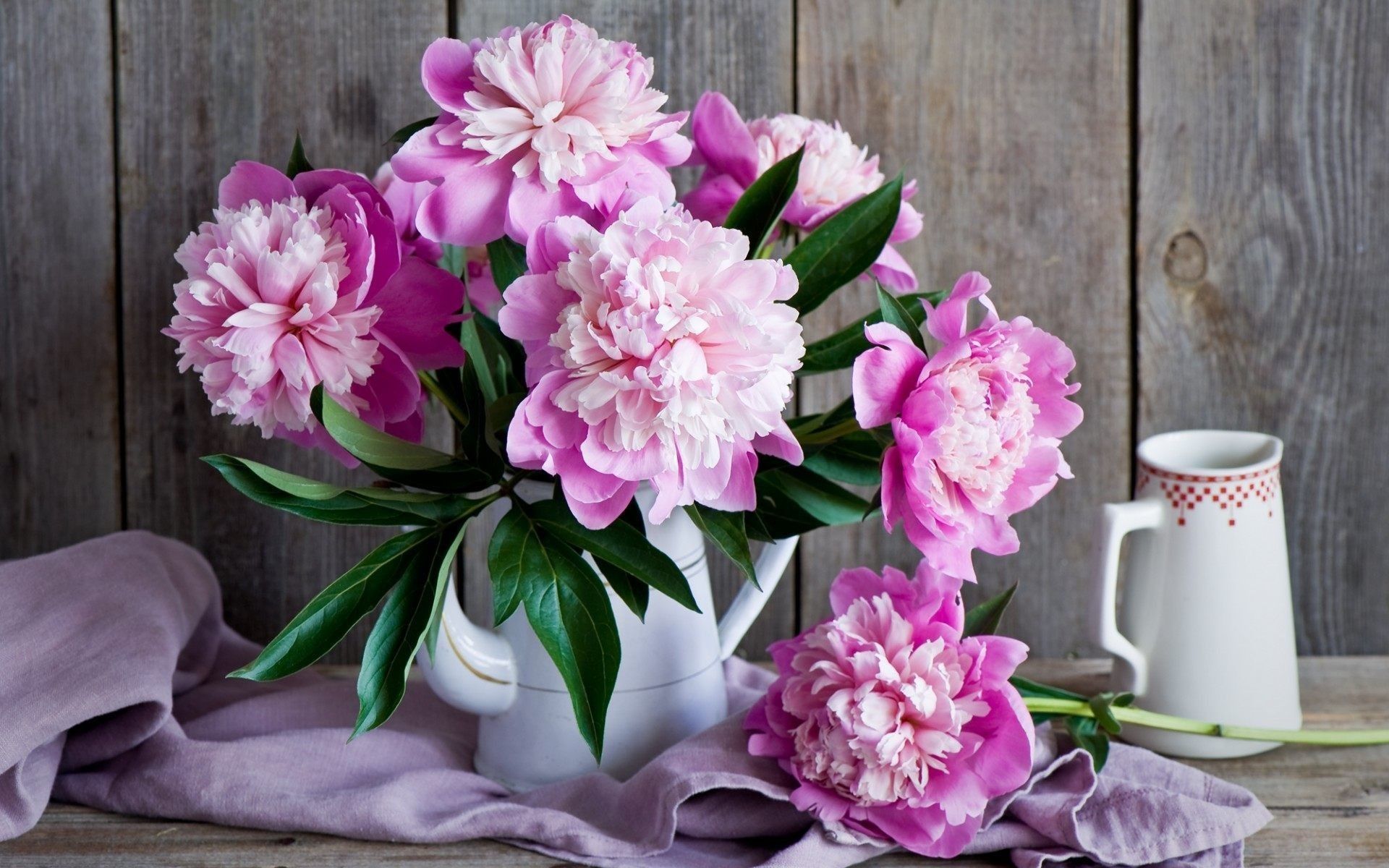 Peonie rosa in vaso bianco, 1920x1200 WUXGA, Laptop