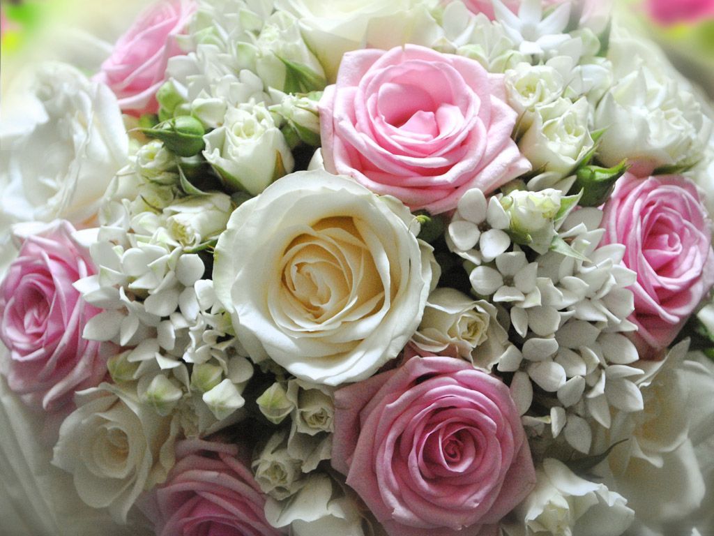 Bouquet rose rosa e bianche, 1024x768 HD, Laptop