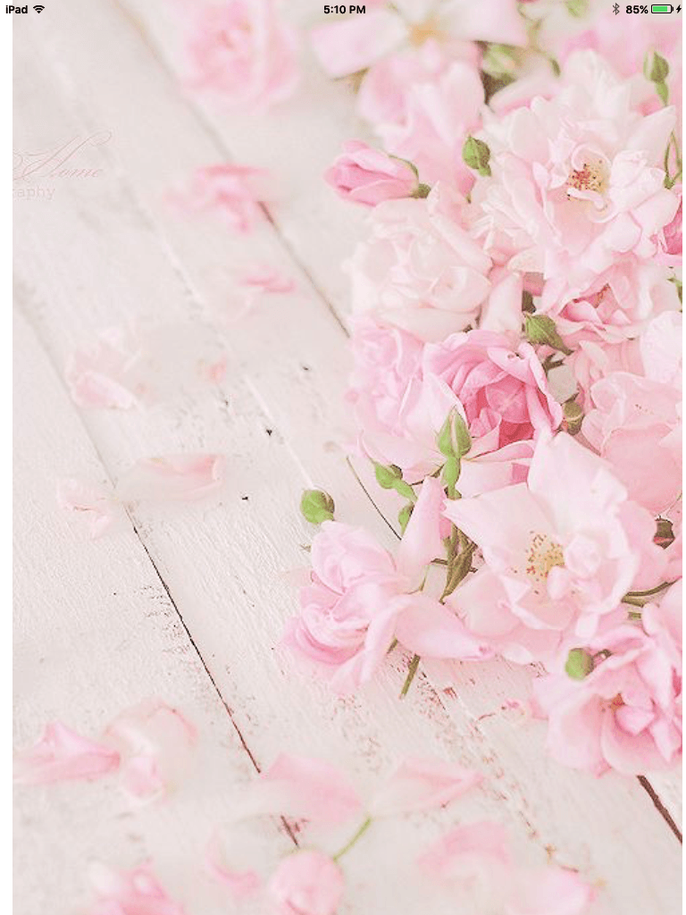 Fiori rosa su legno, 768x1024 Full HD Verticale, Google Pixel