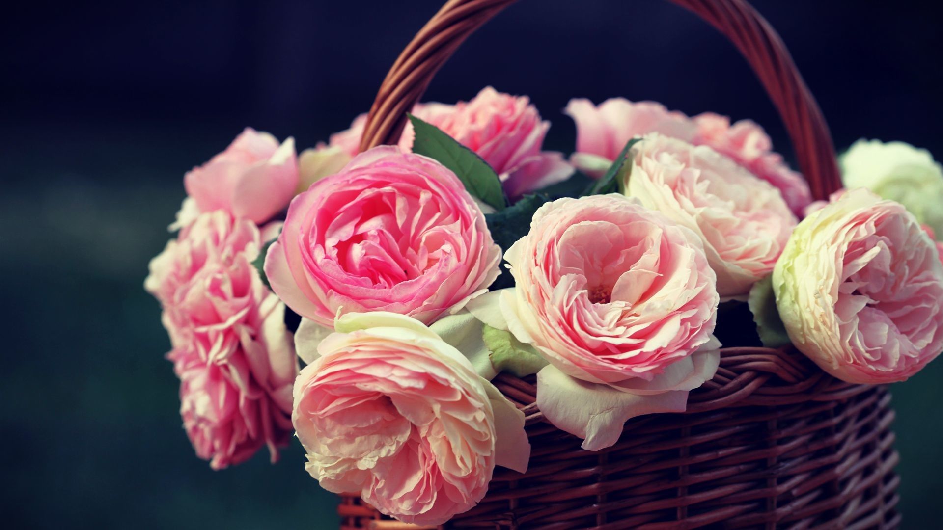 Cesto di rose rosa, 1920x1080 Full HD 1080p, Desktop