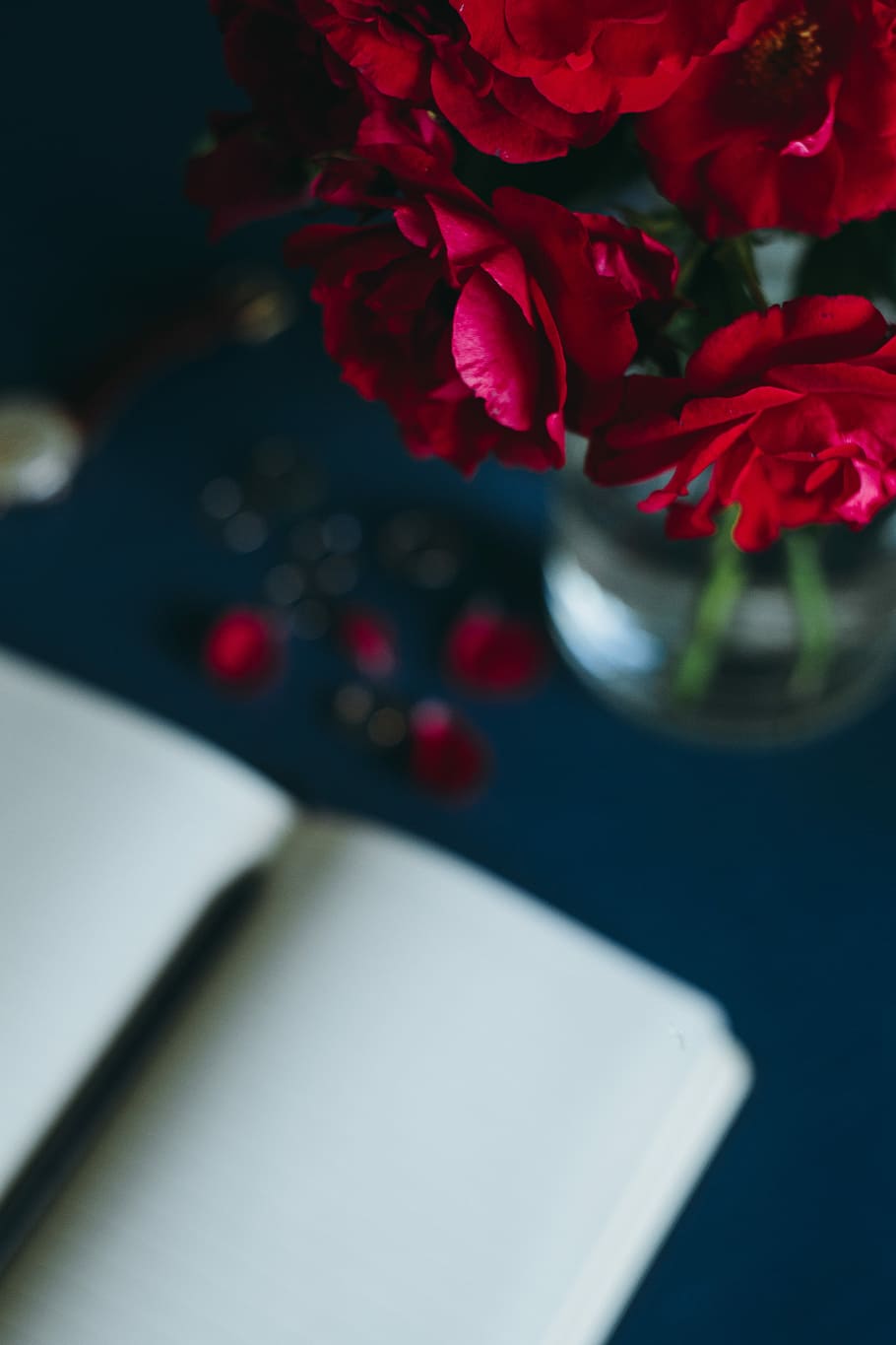 Rose rosse e taccuino, 910x1365 Verticale, Mobile