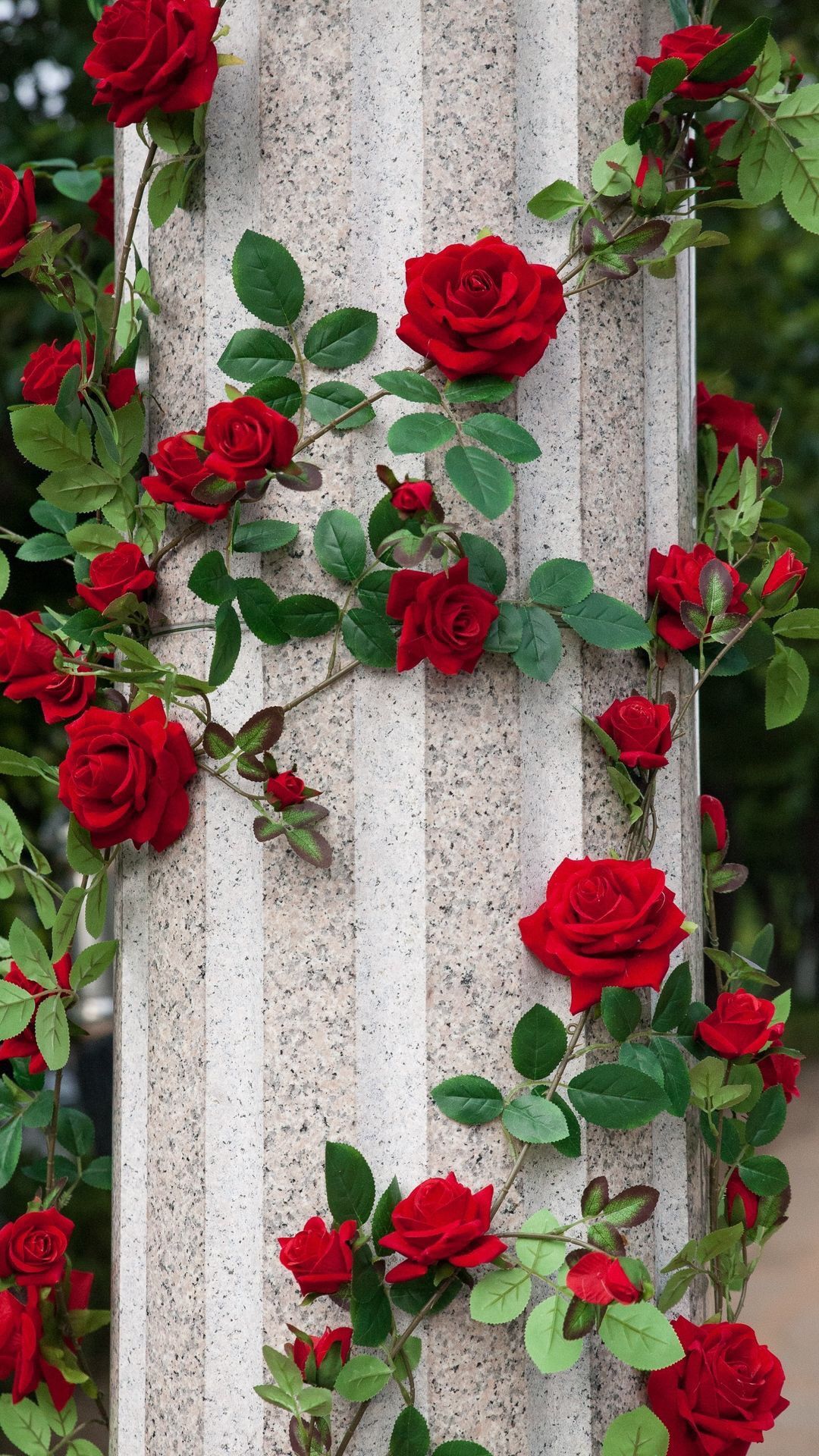 Rose rosse su colonna, 1080x1920 Full HD Verticale, Smartphone