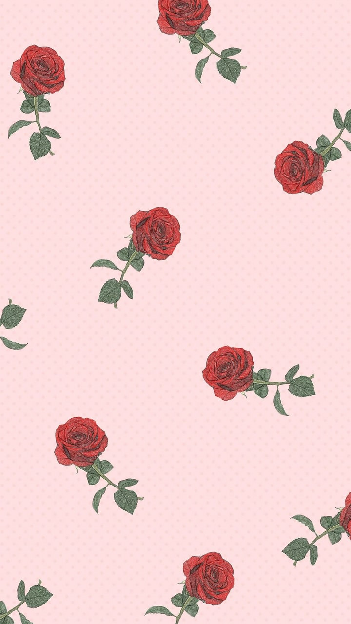 Rose rosse su rosa, 720x1280 Full HD Verticale, iPhone