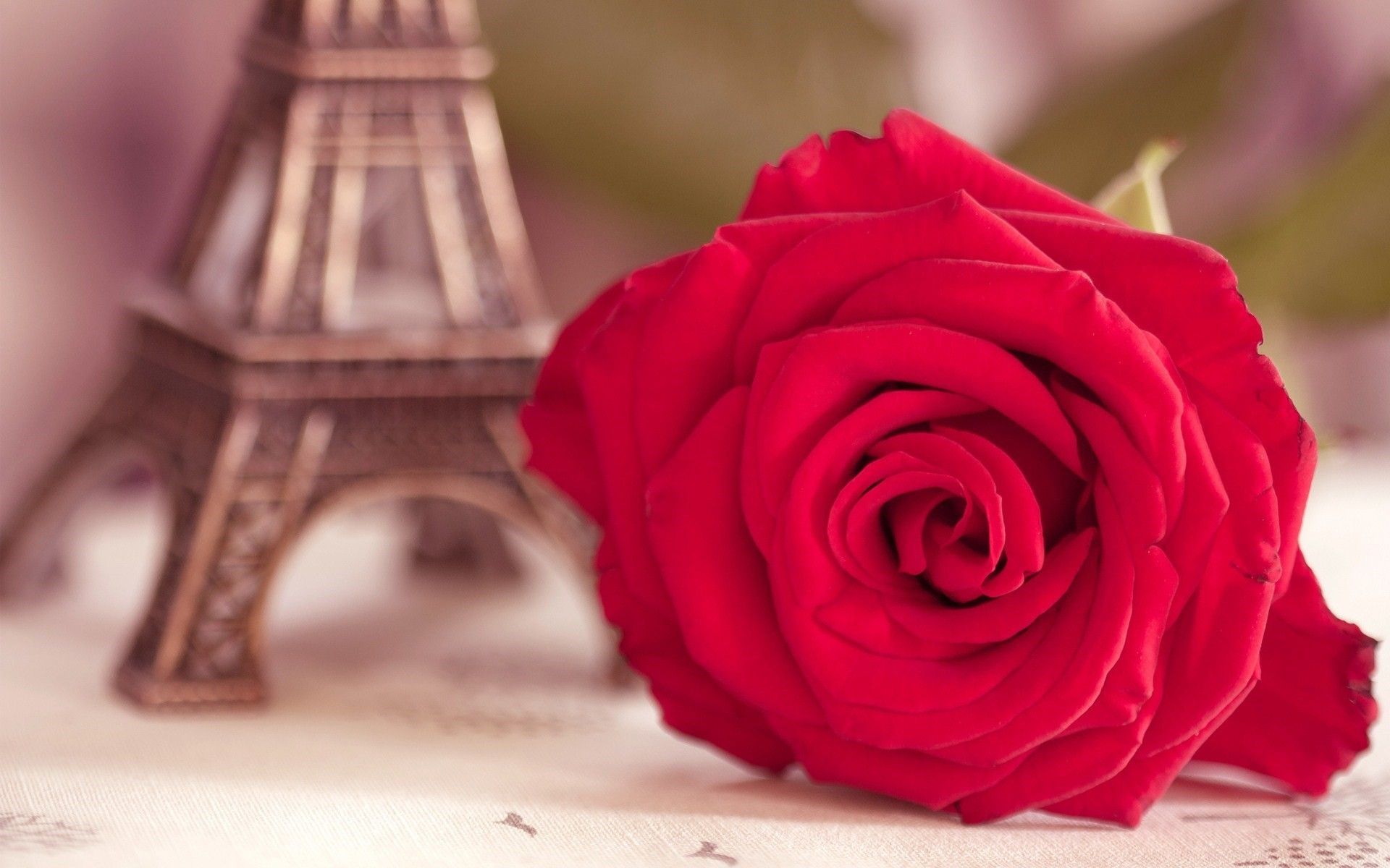 Rosa rossa e Torre Eiffel, Parigi, 1920x1200 Full HD+ WUXGA, Desktop