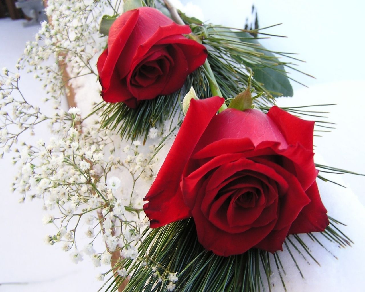 Rose rosse con gypsophila, 1280x1024 HD, Desktop