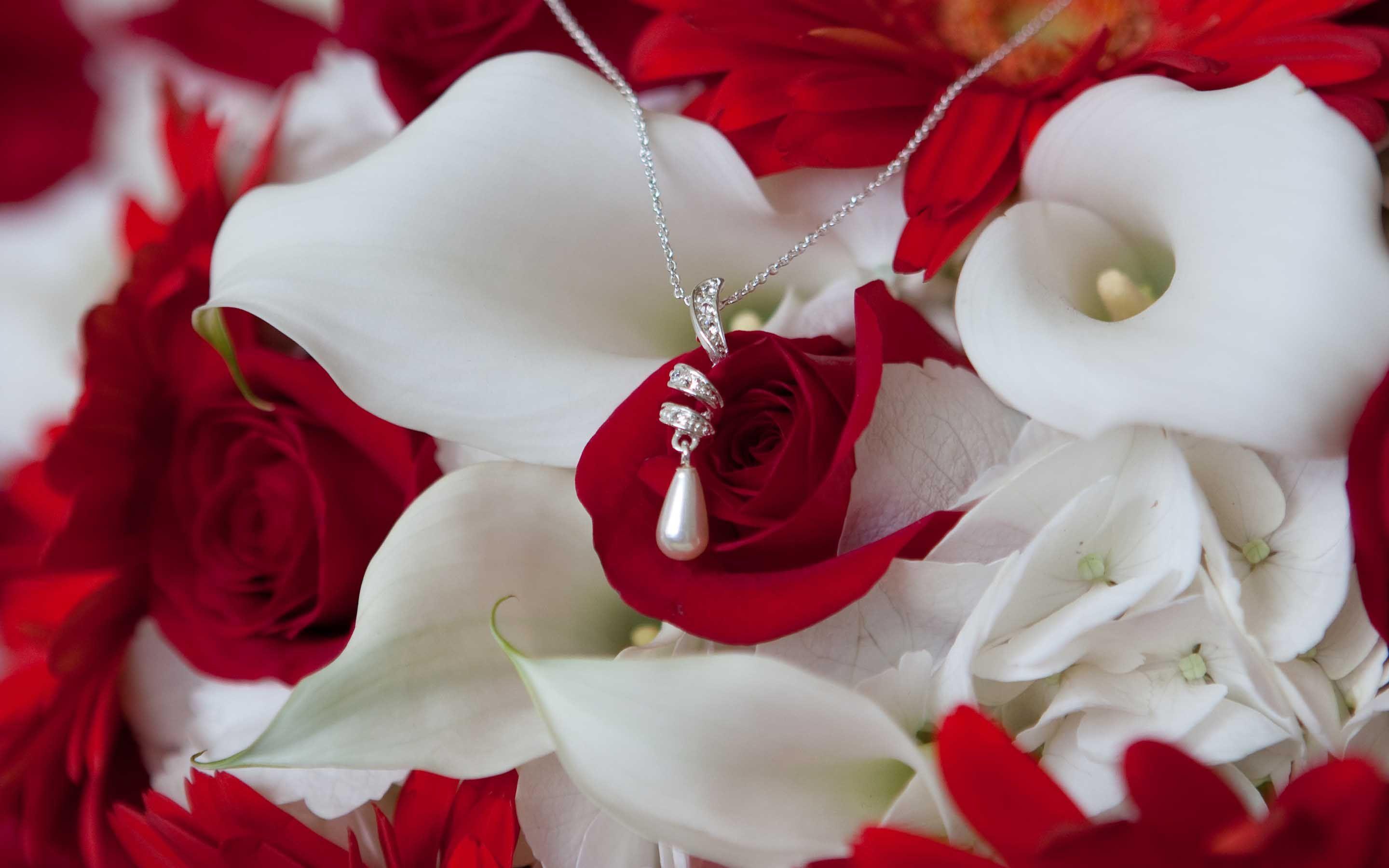 Collana argento tra fiori rossi, 2880x1800 2K+, Desktop