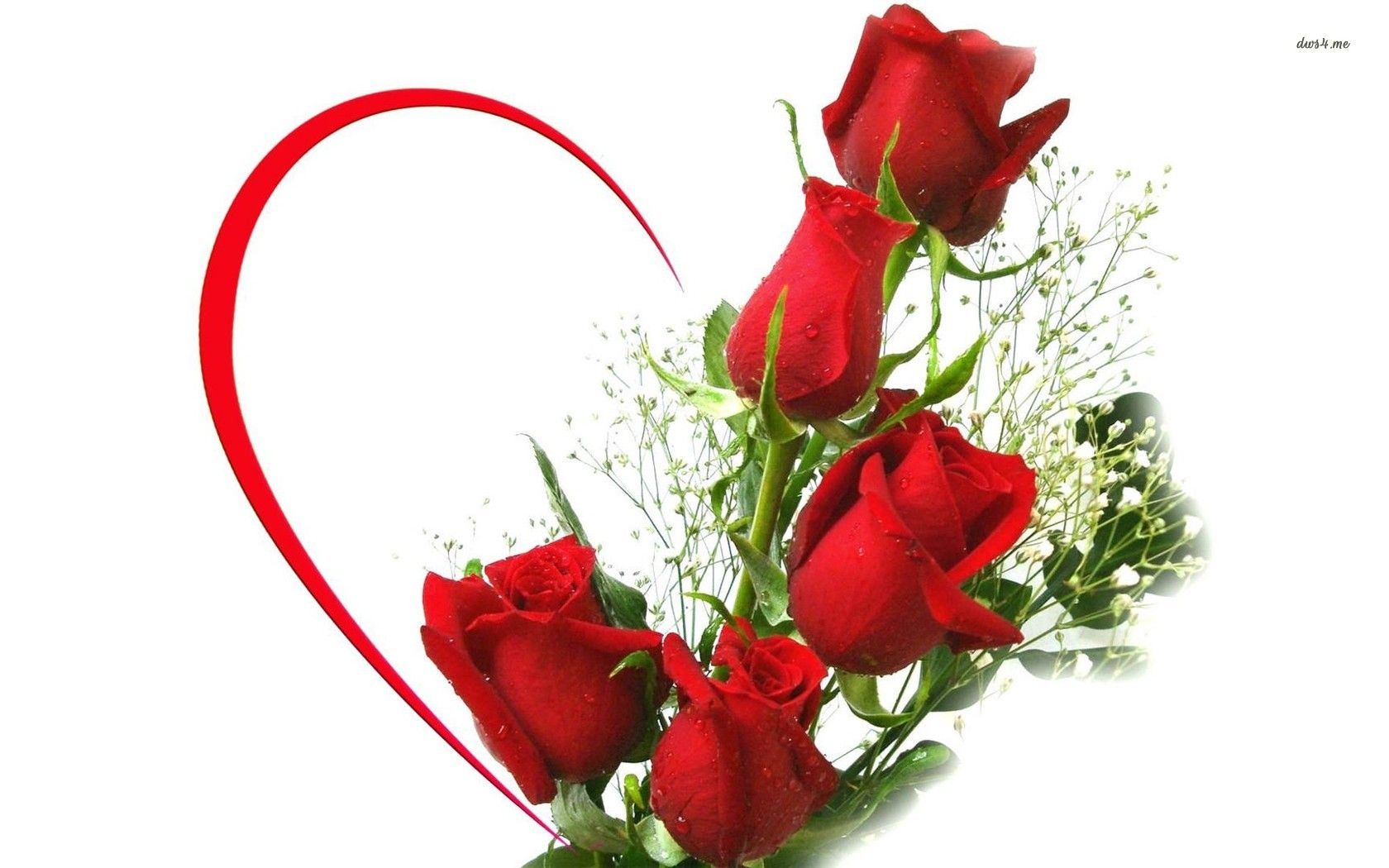 Rose rosse con cuore, 1680x1050 HD, Desktop