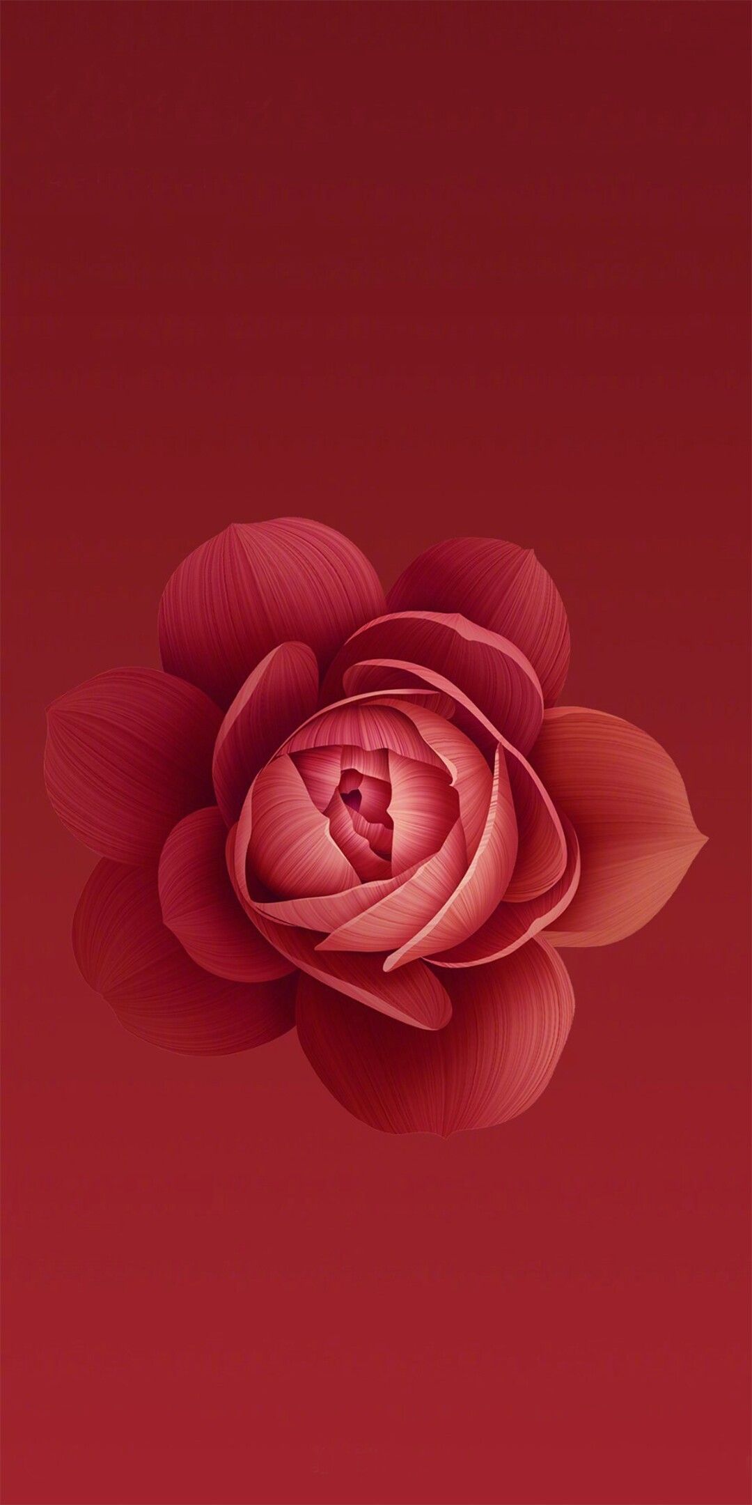 Rosa rossa sfondo rosso, 1080x2160 Full HD Verticale, Realme