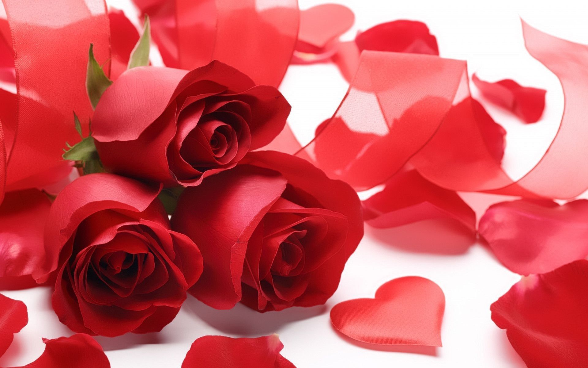 Rose rosse con petali a cuore, 1920x1200 Full HD+ WUXGA, Desktop