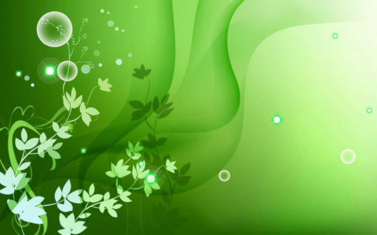 Fiori verdi astratti sfondo, 1600x1000 900p, Desktop
