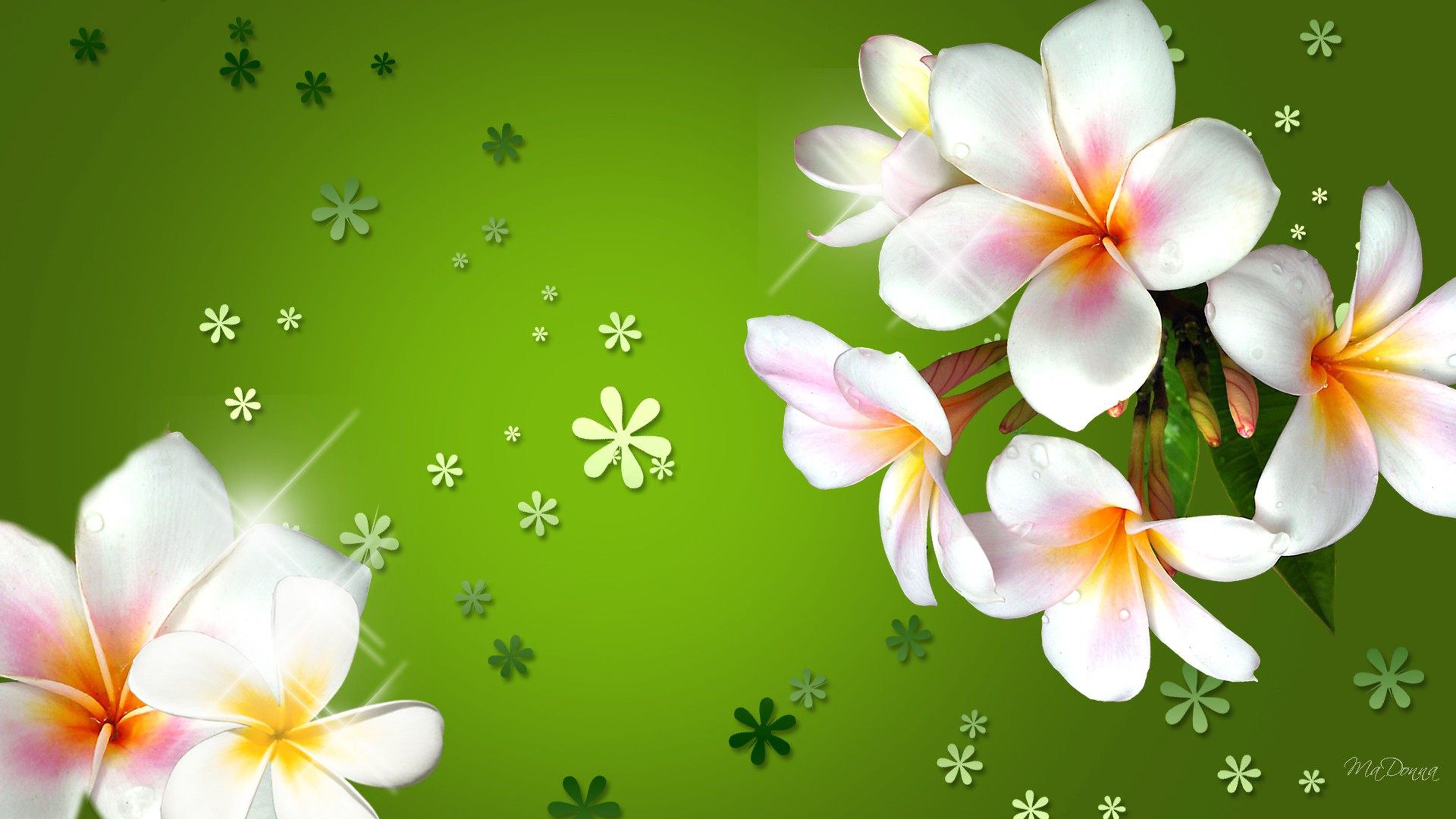 Fiori verdi decorativi sfondo, 1920x1080 Full HD, Desktop