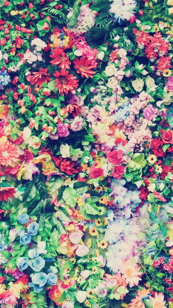 Muro di fiori colorati, 736x1308 Full HD Verticale, iPhone