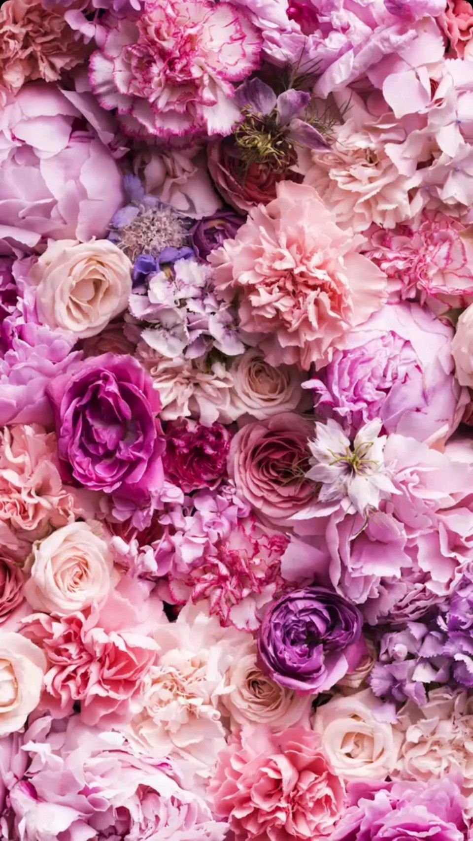 Rose e peonie rosa, 960x1707 Full HD Verticale, iPhone Air
