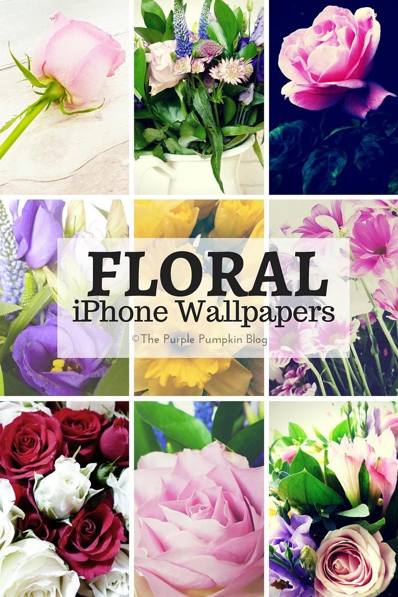 Collage fiori colorati, 800x1200 Full HD Verticale, iPhone Plus