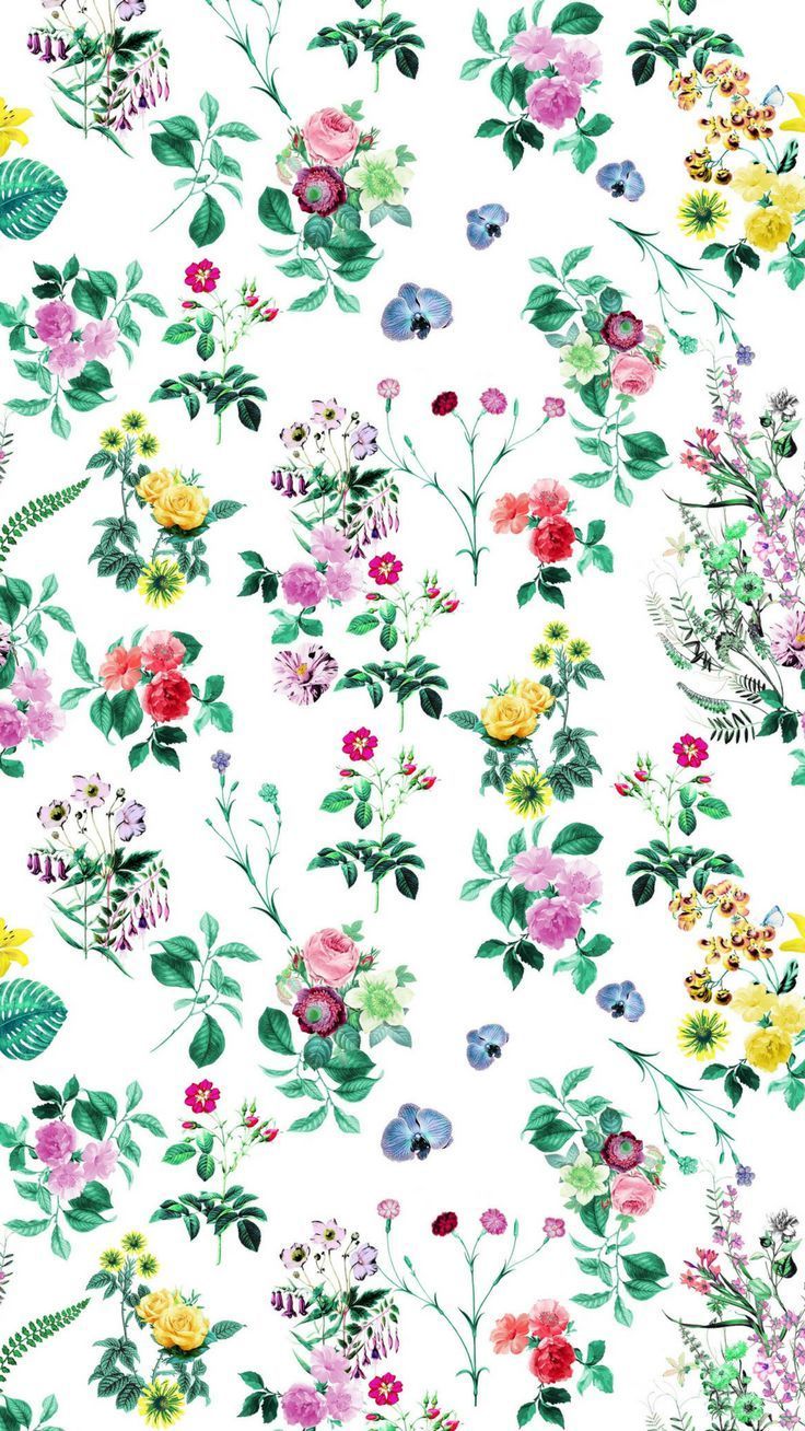 Fiori colorati dipinti botanici, 736x1308 Verticale, iPhone Air
