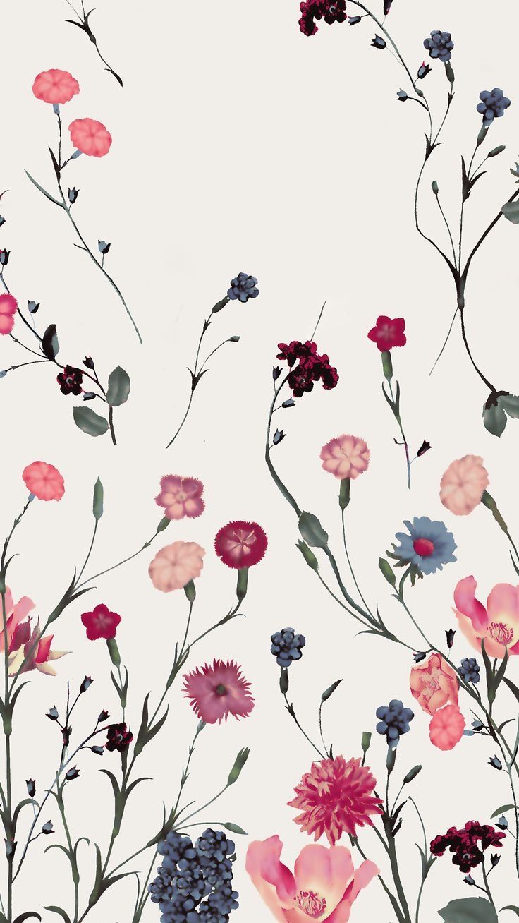 Fiori dipinti sfondo chiaro, 736x1308 Full HD Verticale, iPhone Air