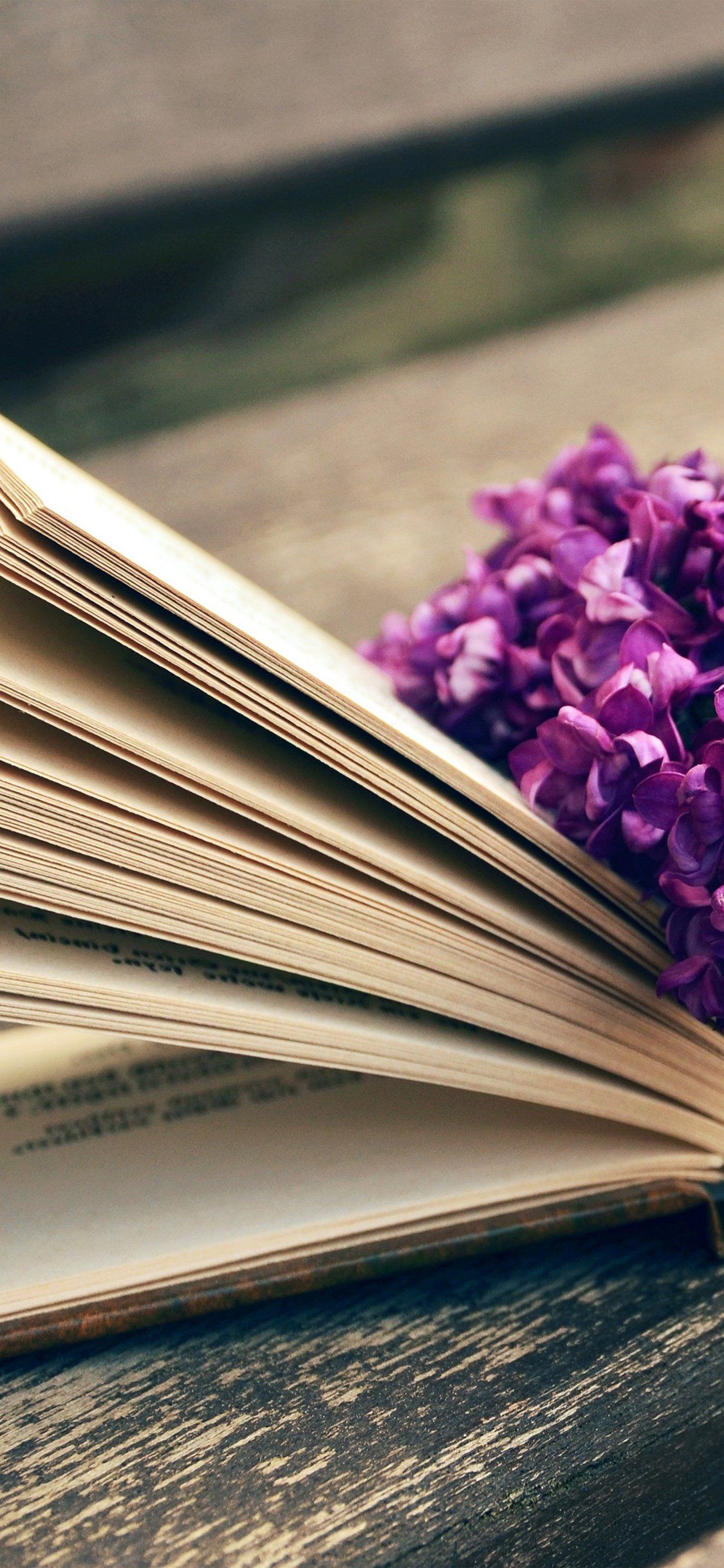 Libro aperto con fiori viola, 1125x2436 Full HD Verticale, iPhone Plus