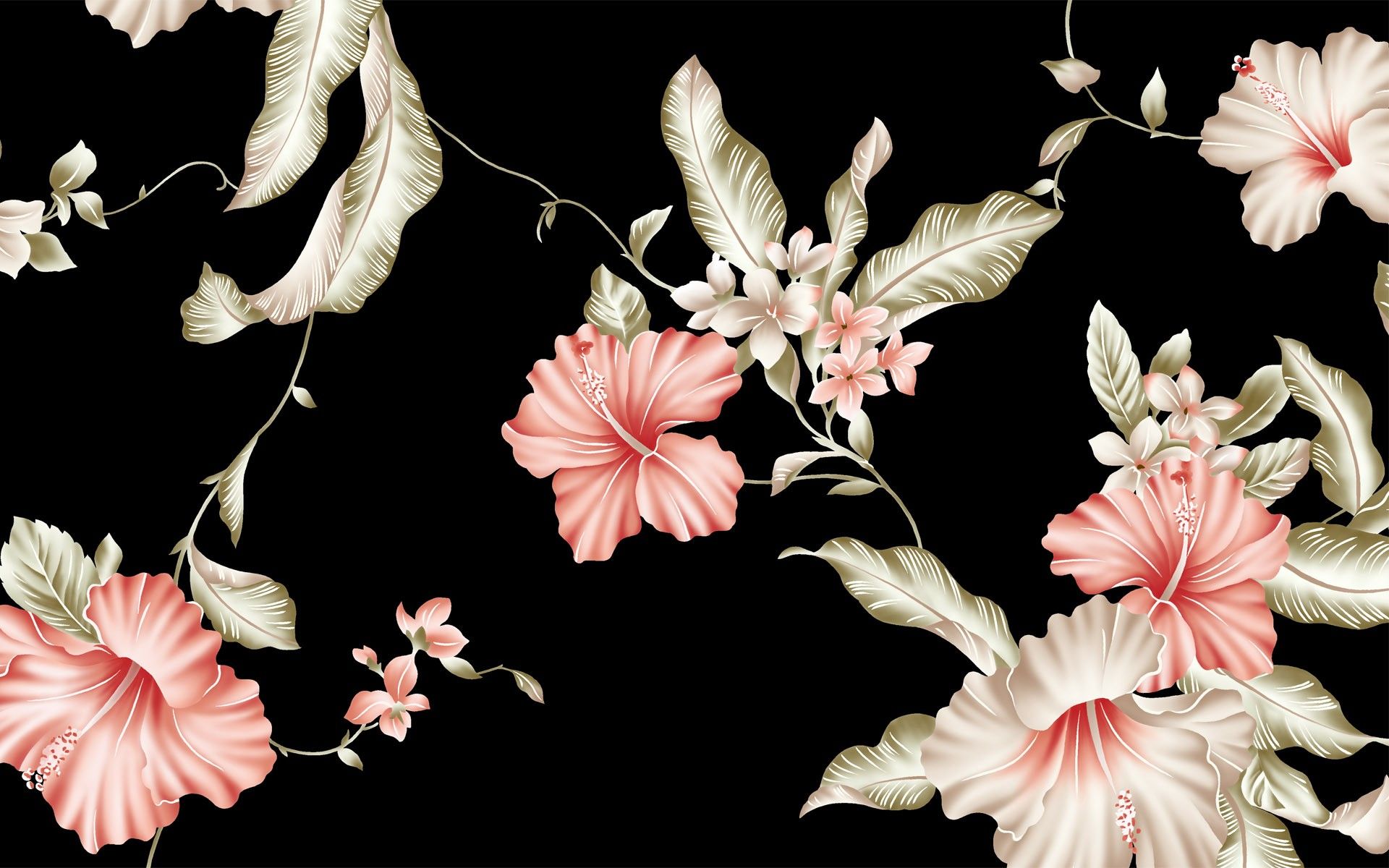 Fiori rosa ibisco sfondo nero, 1920x1200 WUXGA, Laptop