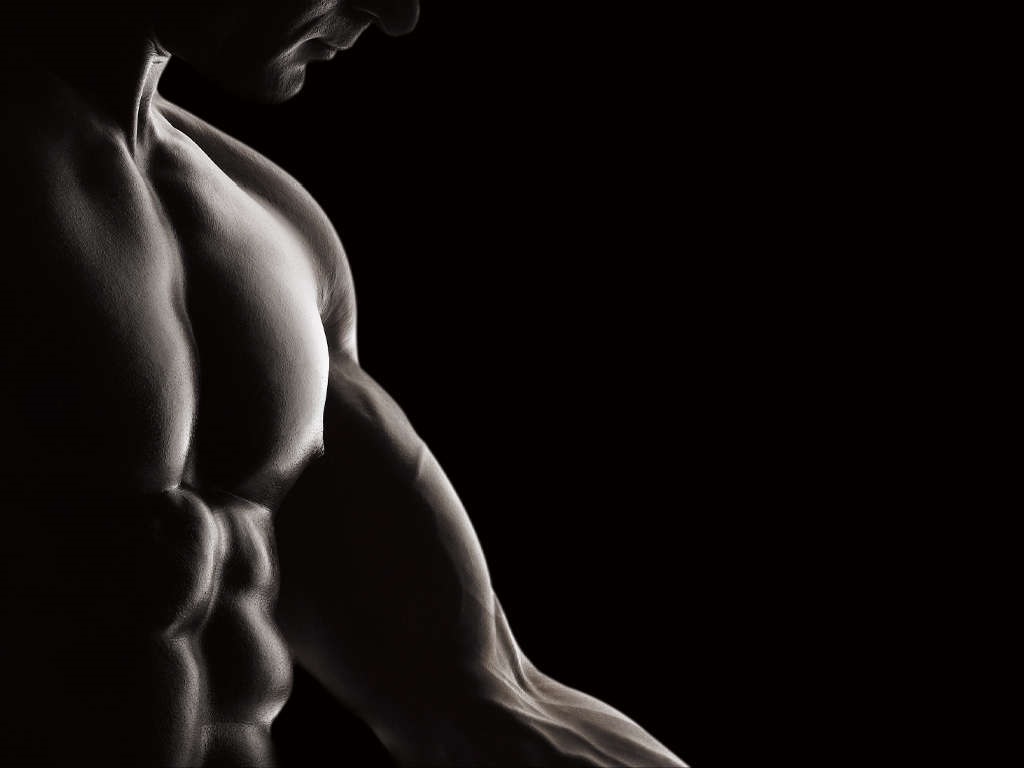 Torso muscoloso bianco e nero, 1024x768 HD, Desktop