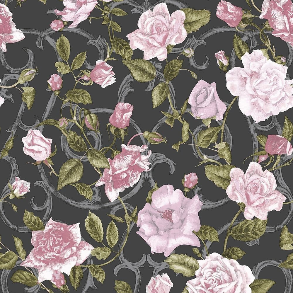 Rose rosa su fondo nero, 1000x1000 HD, iMac