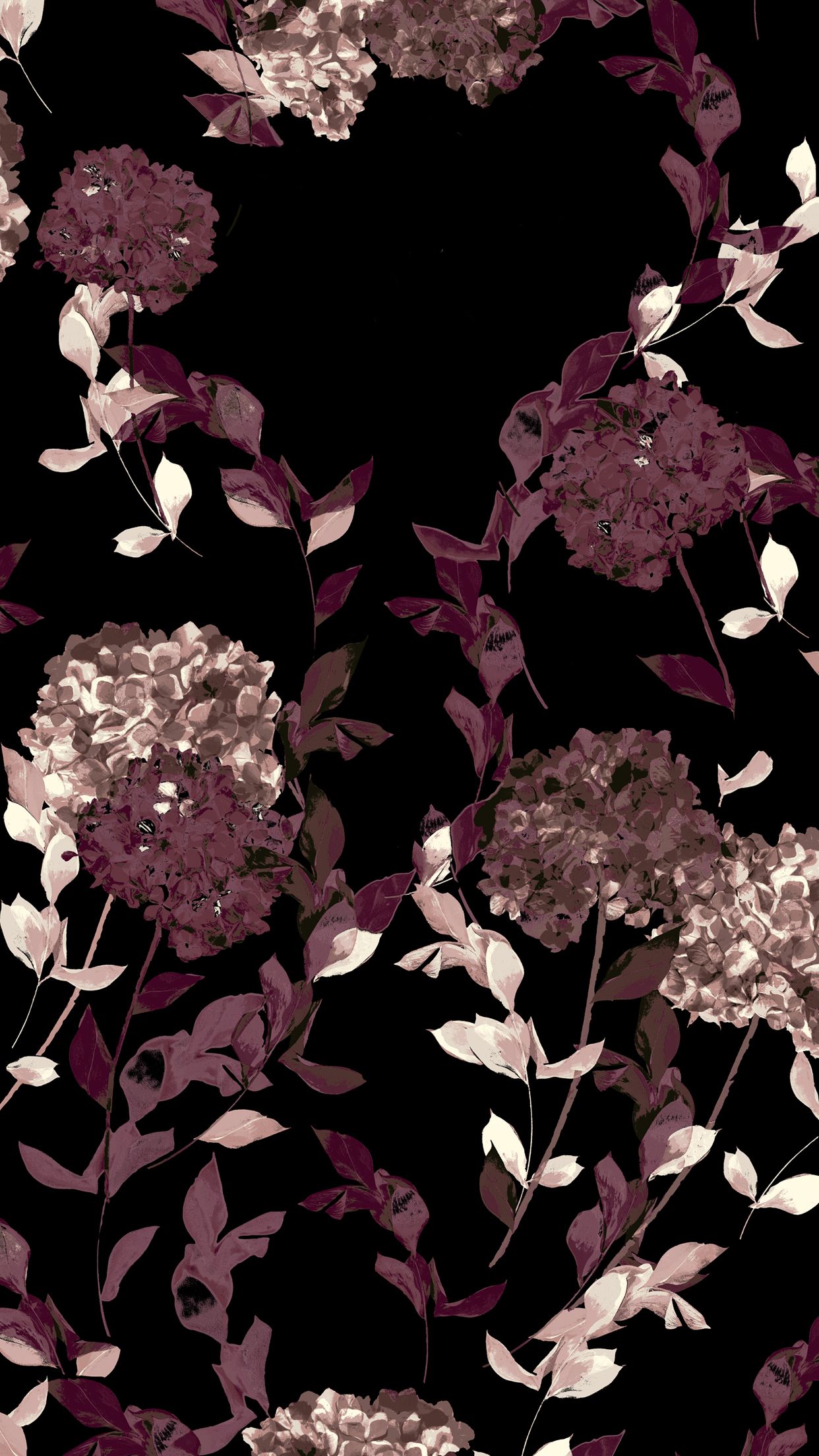 Fiori ortensia su nero, 1242x2208 Full HD Verticale, Smartphone
