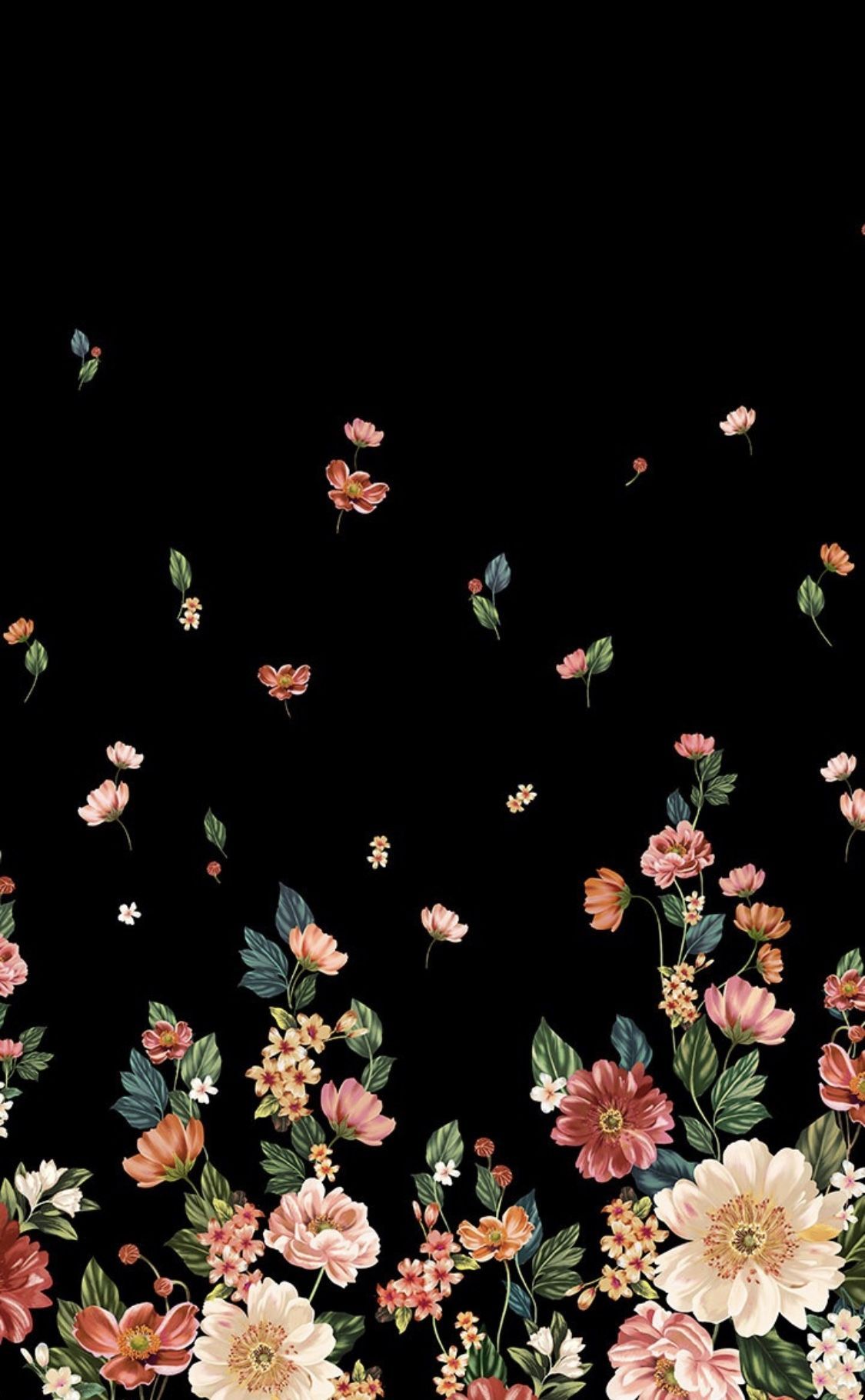 Fiori rosa su nero, 1125x1820 Full HD Verticale, iPhone