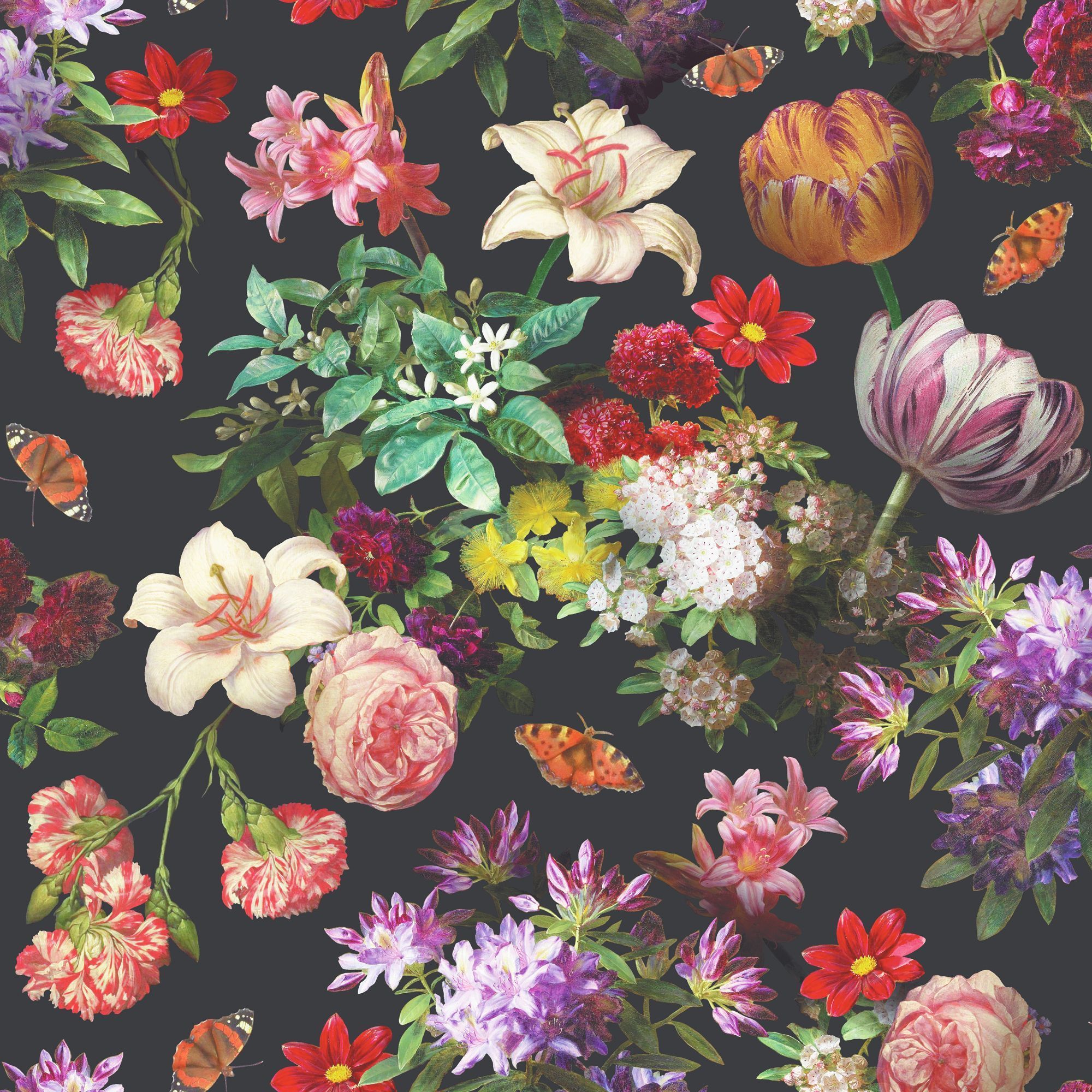 Fiori colorati su nero, 2000x2000 Hi-Res, PC