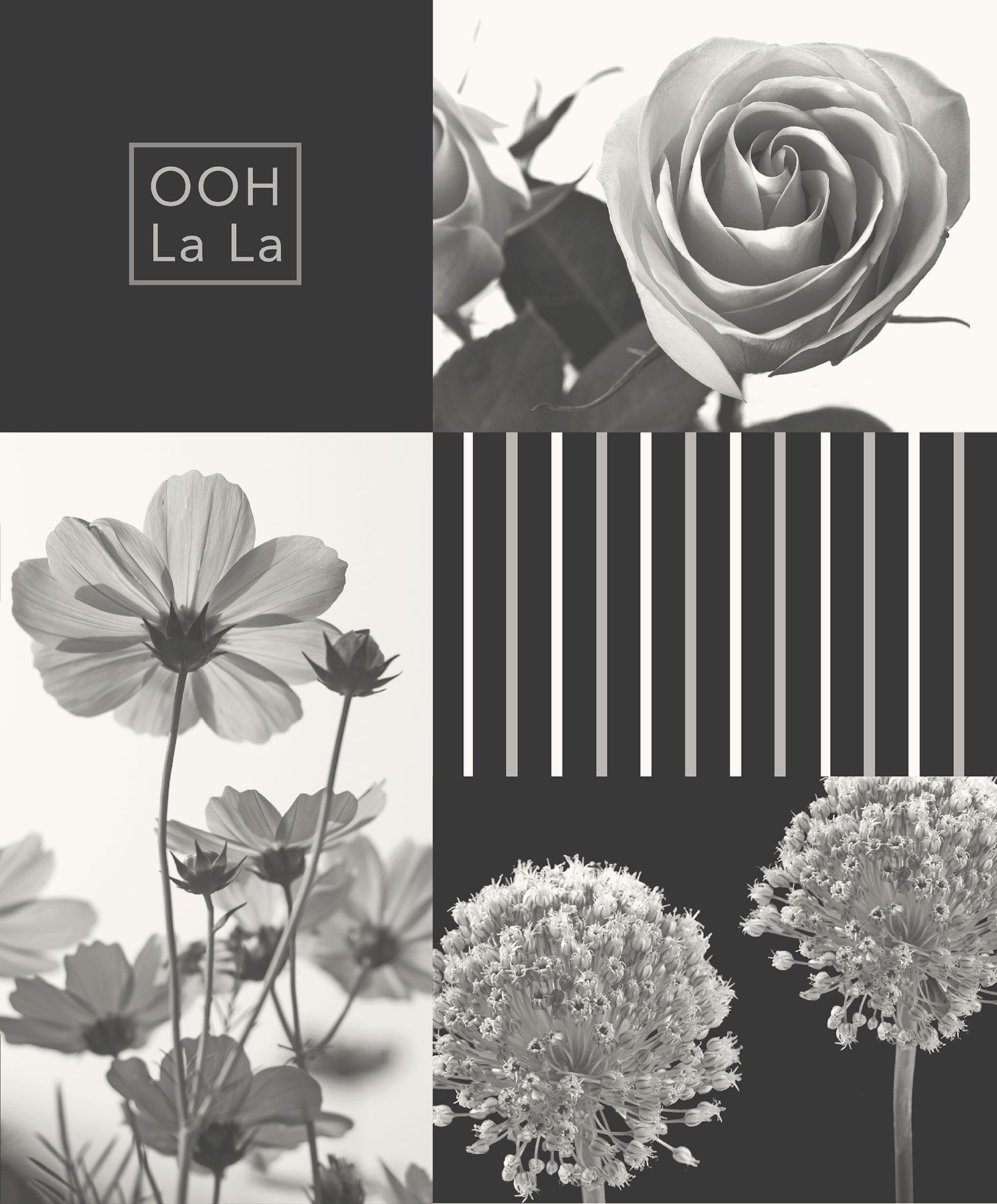 Collage floreale bianco e nero, 1500x1812 Verticale, Telefono